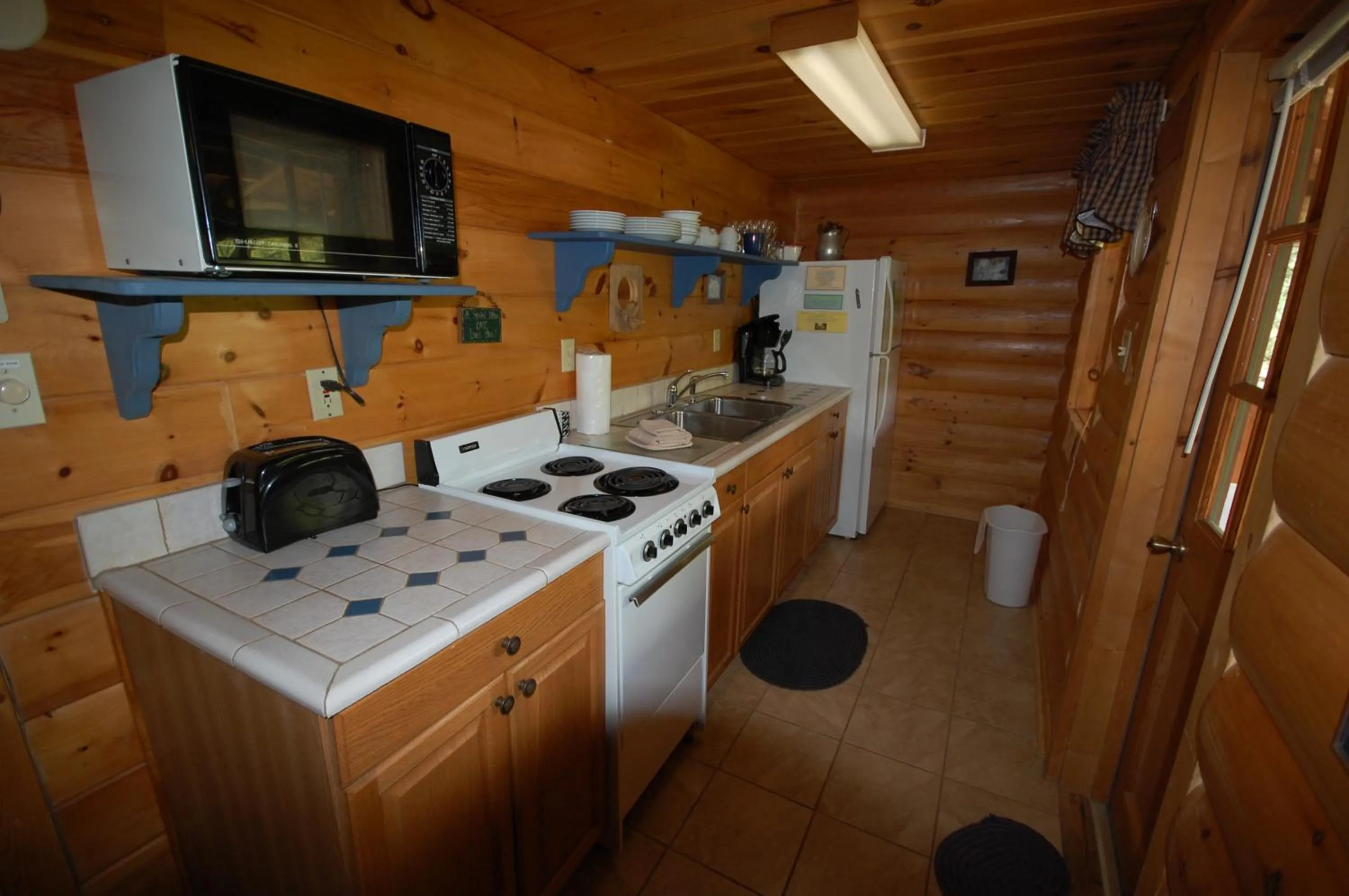 Mountain Springs Cabins