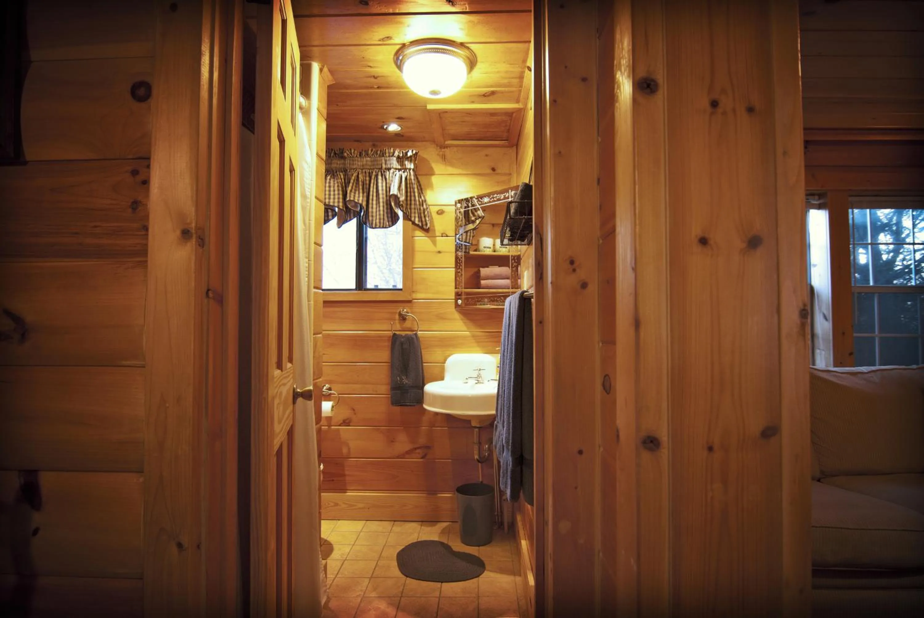 Mountain Springs Cabins