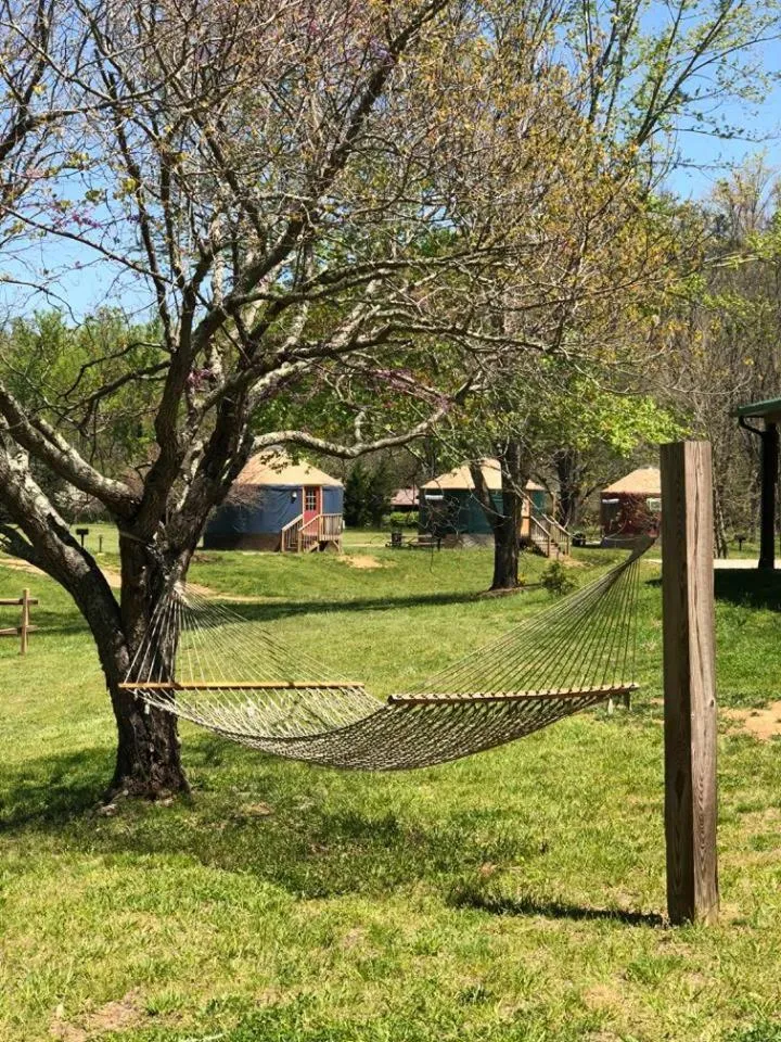 Mountain Springs Cabins