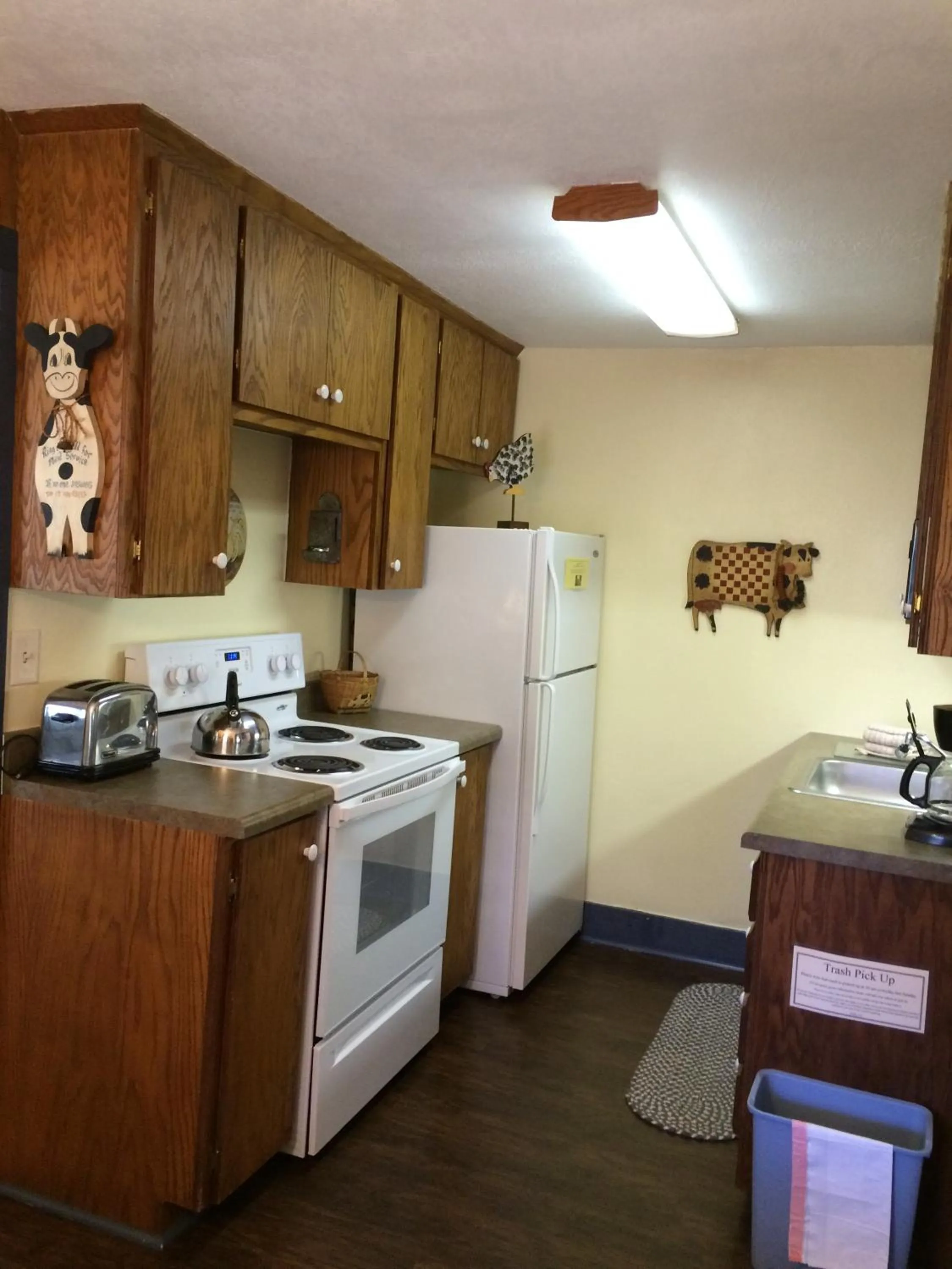 Mountain Springs Cabins