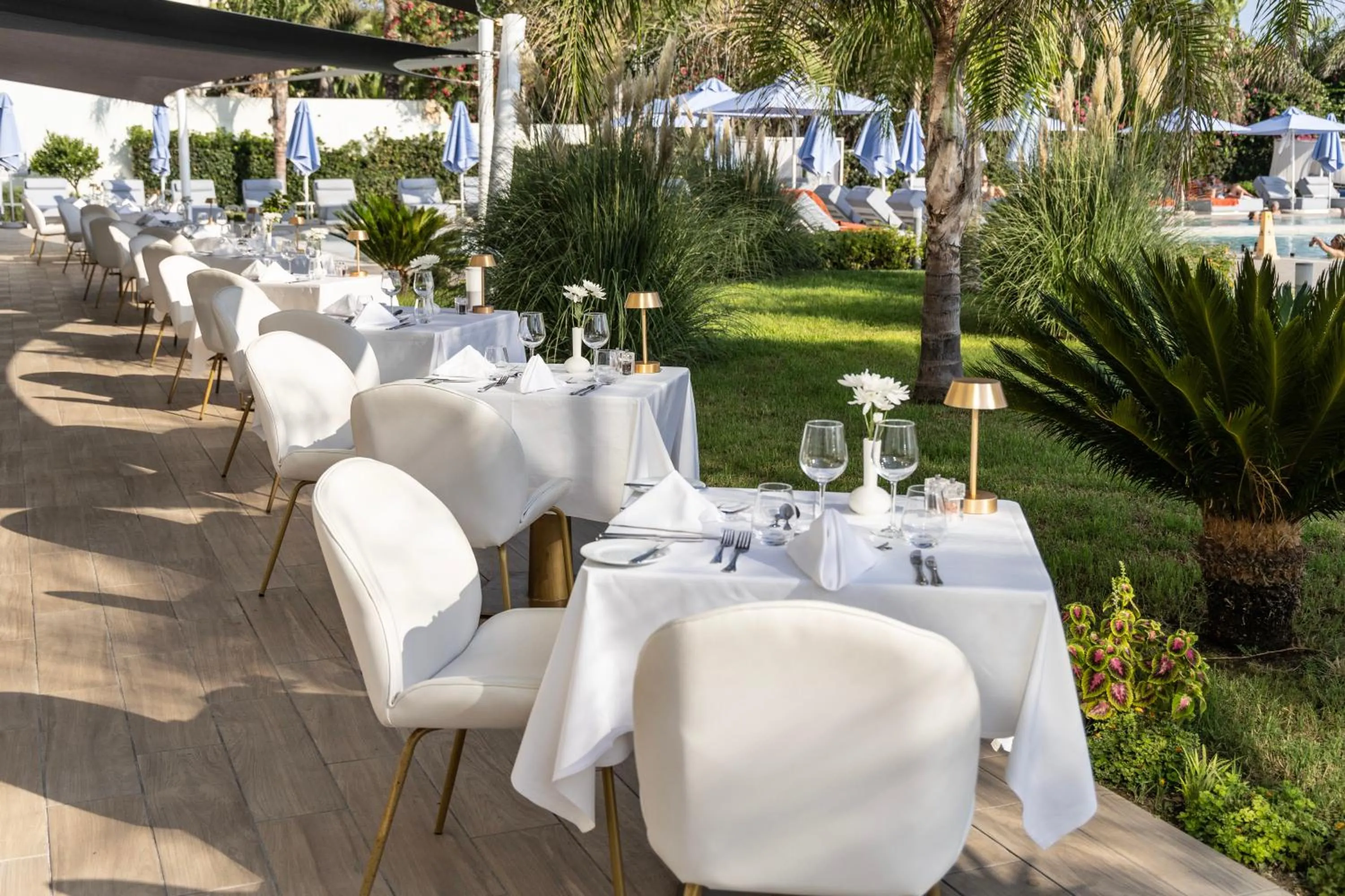 Restaurant/places to eat in Ivi Mare - Designed for Adults by Louis Hotels