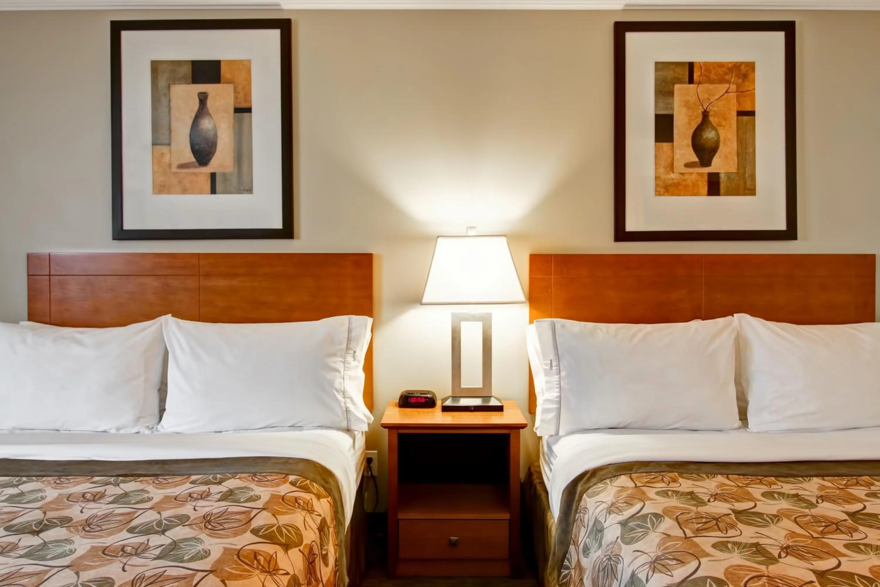 Bed in Canalta Jurassic - Drumheller