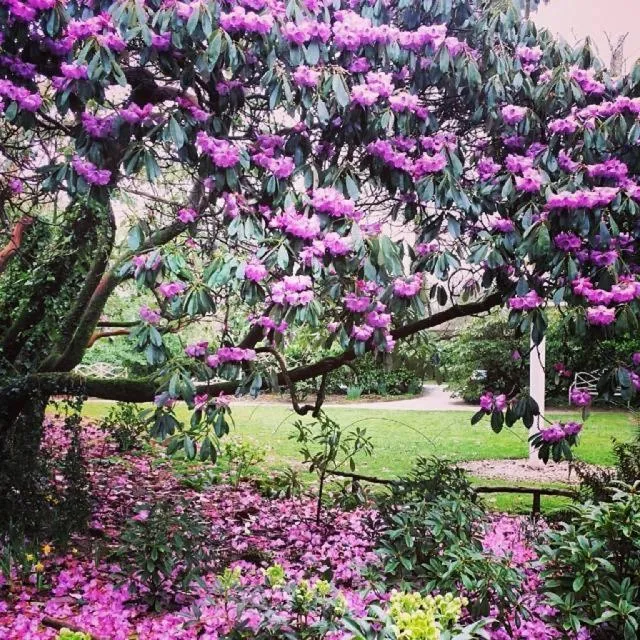 Sea Breeze Apartment