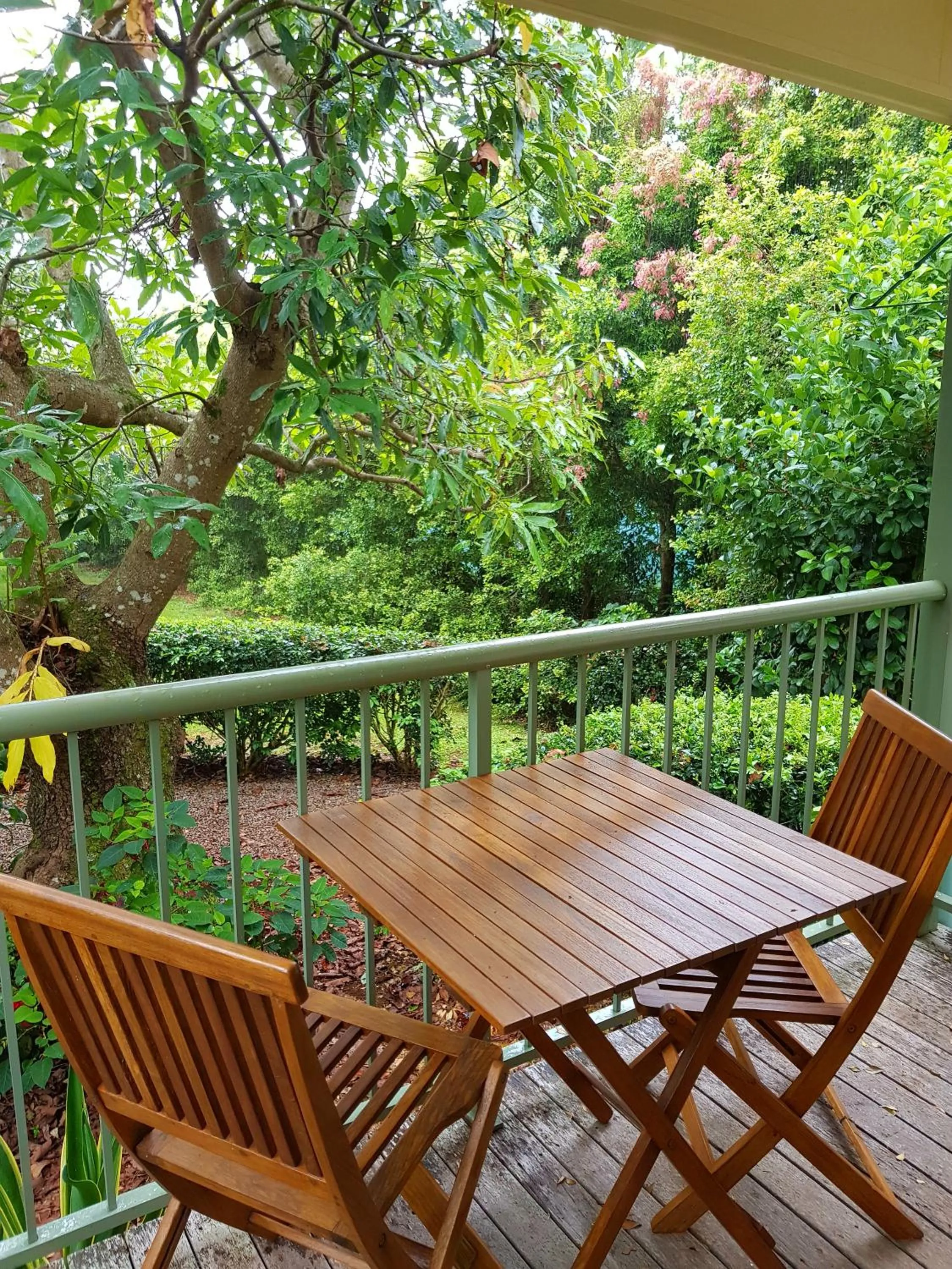 Garden view in Camelot Boutique Accommodation