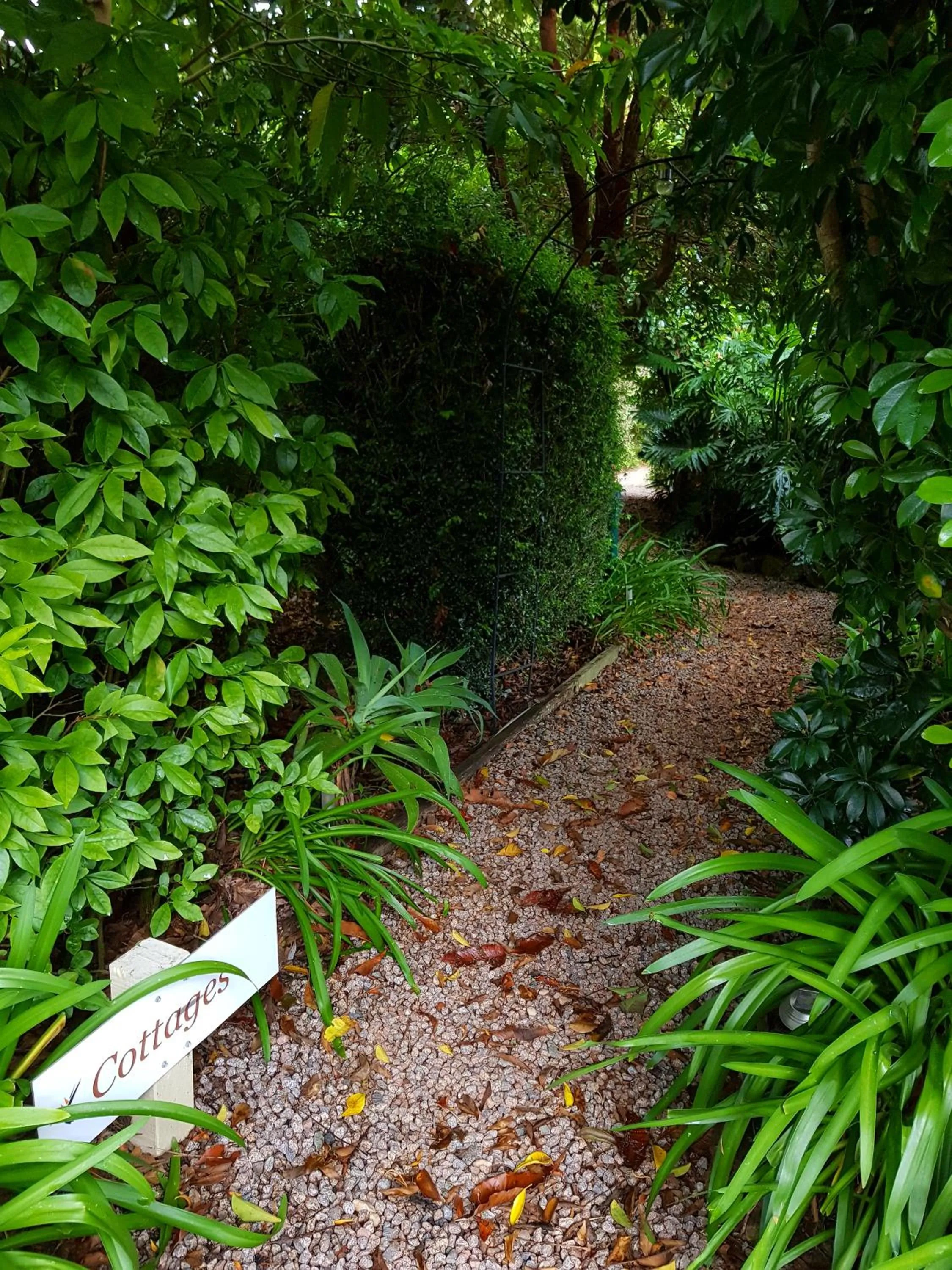 Garden in Camelot Boutique Accommodation