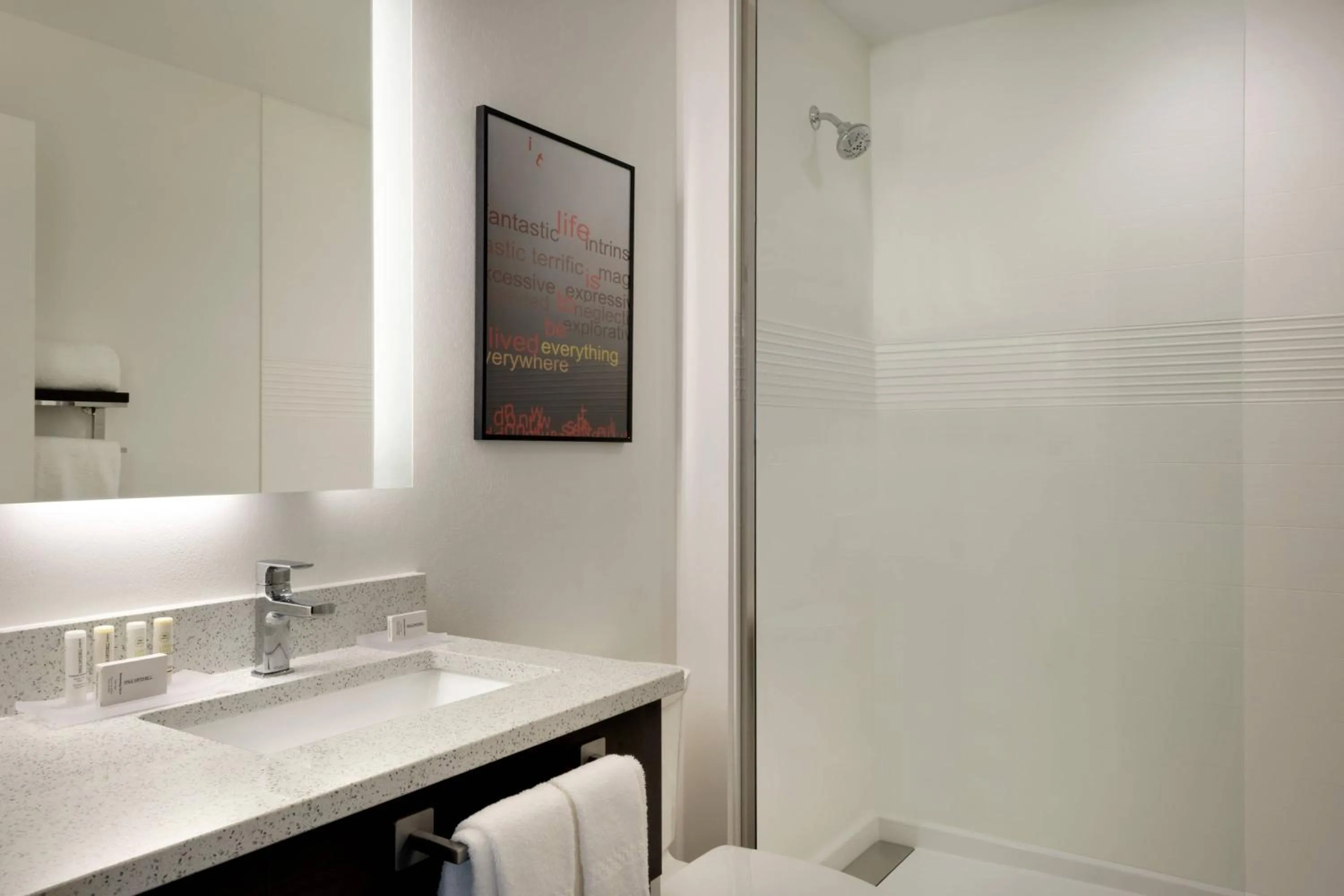 Bathroom in TownePlace Suites by Marriott Joliet Minooka