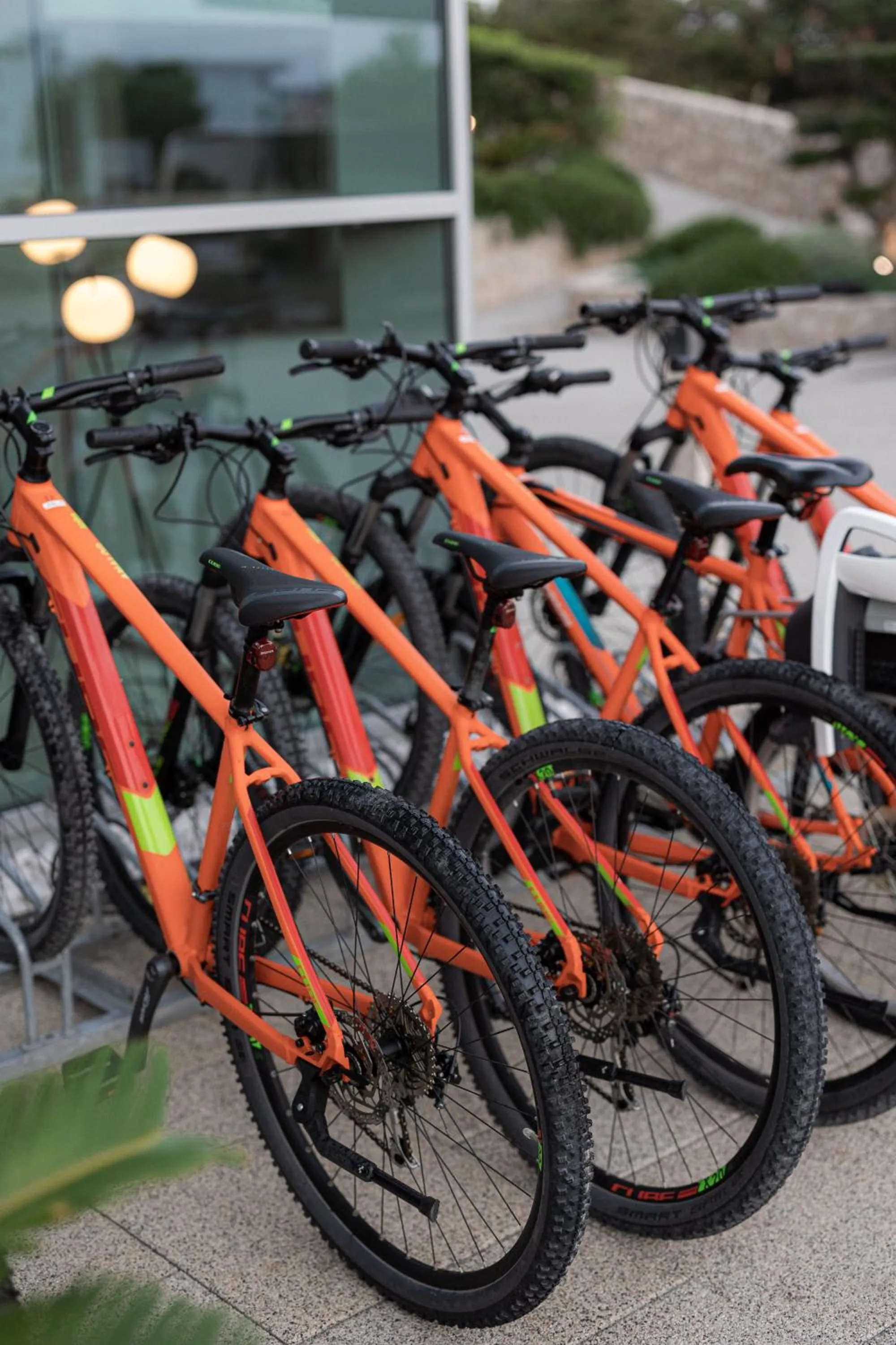 Activities in Aparthotel Joel