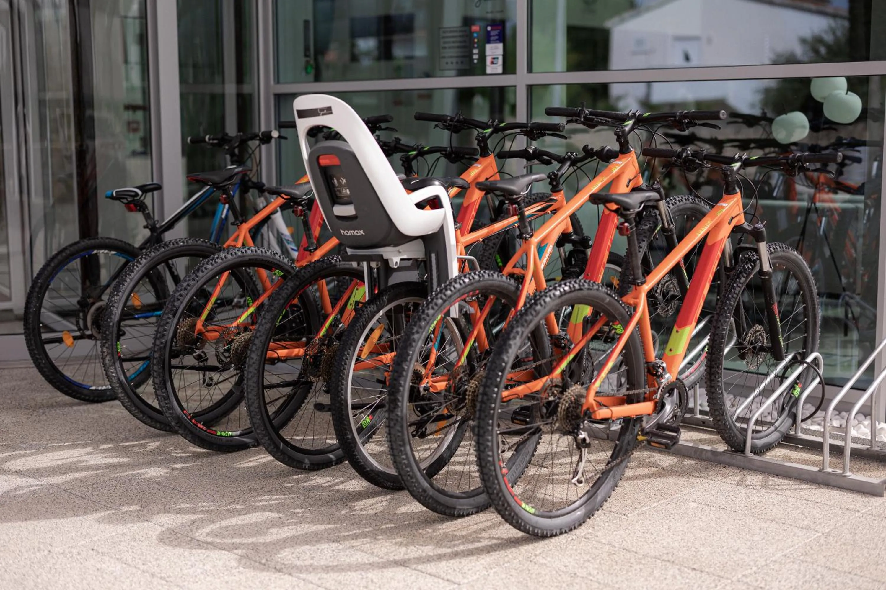 Activities in Aparthotel Joel