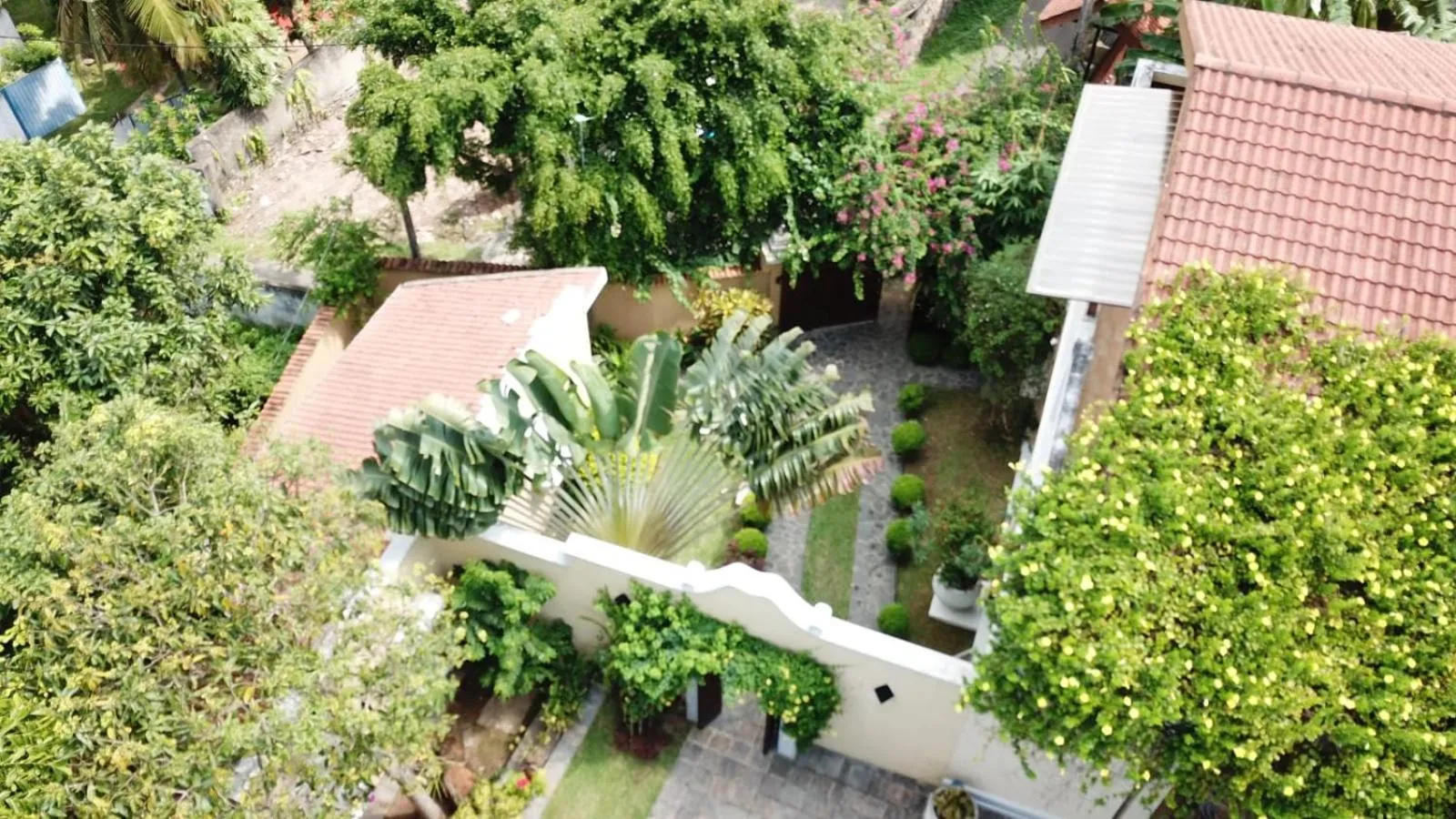 Garden in Villa Tara