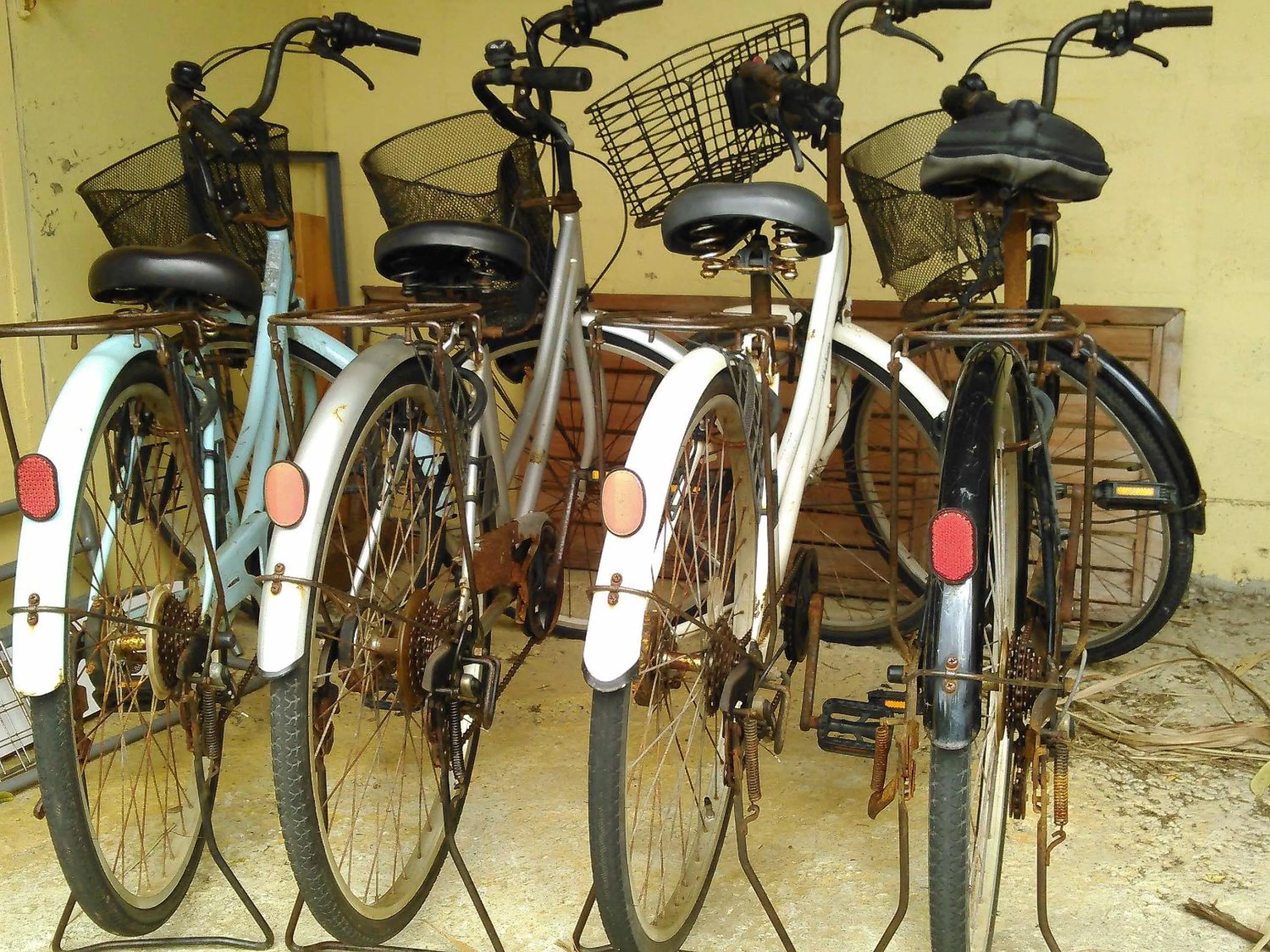 Cycling in Guest House Miyakojima