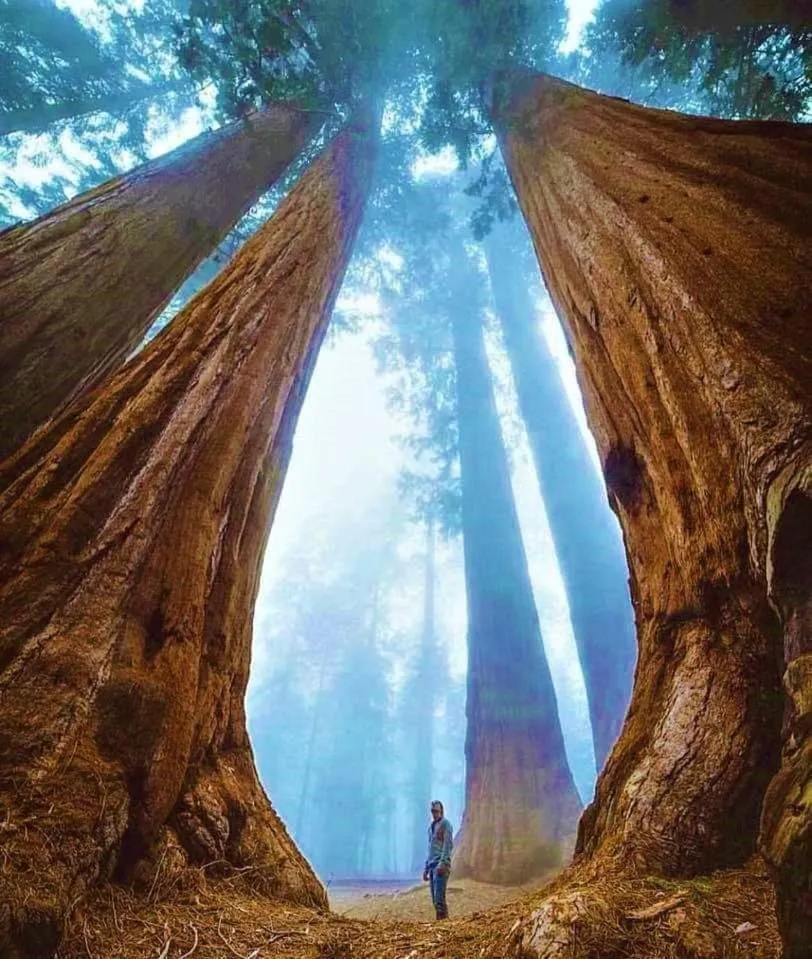 Hiking in Hiouchi Motel
