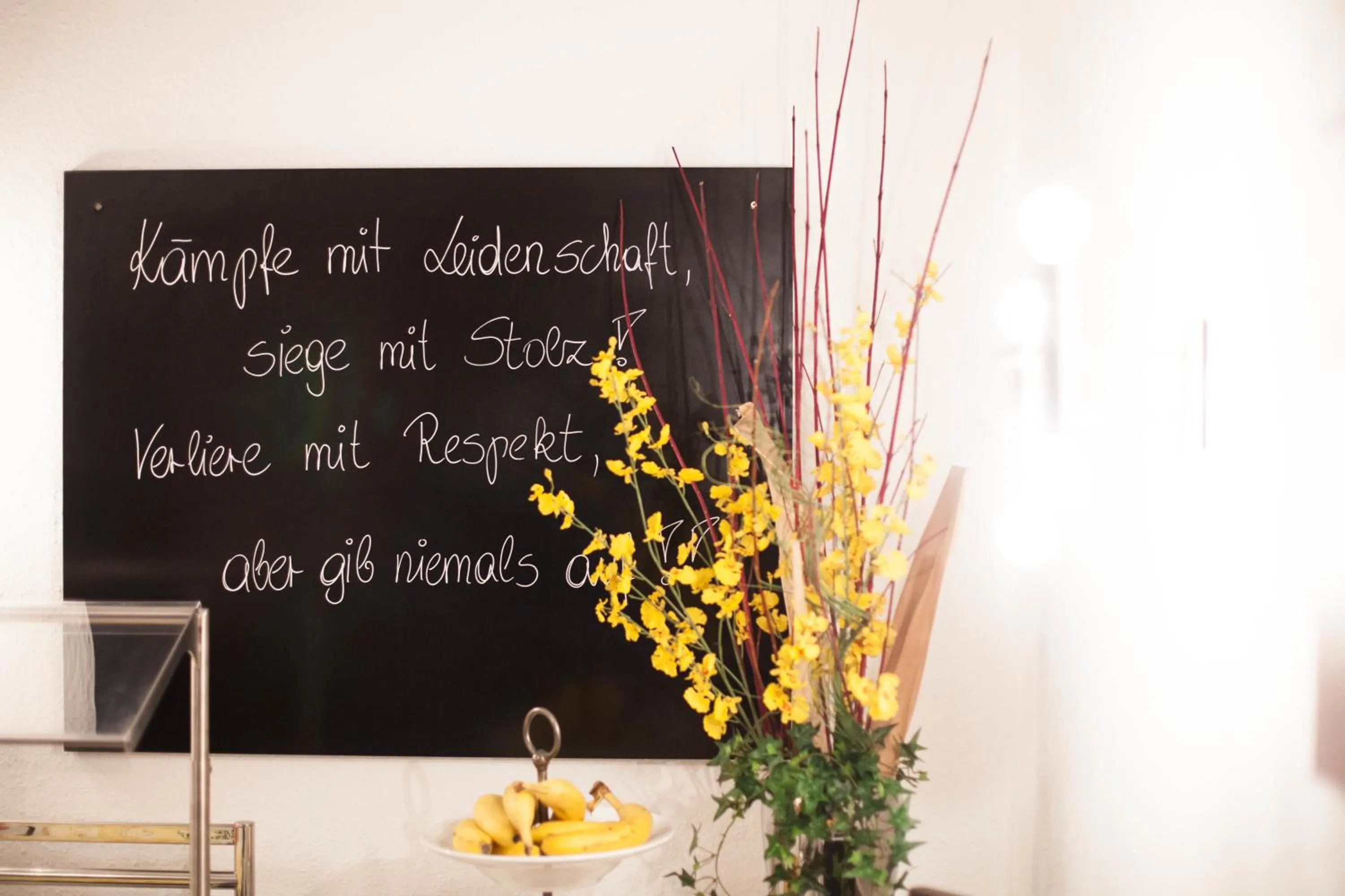 Area and facilities in Hotel Vier Jahreszeiten