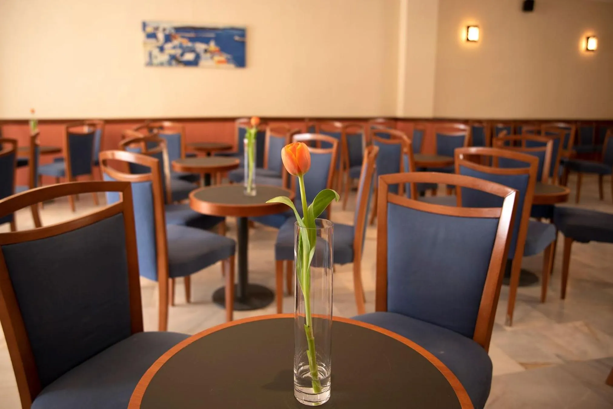 Nightclub / DJ, Restaurant/Places to Eat in Ele Andarax