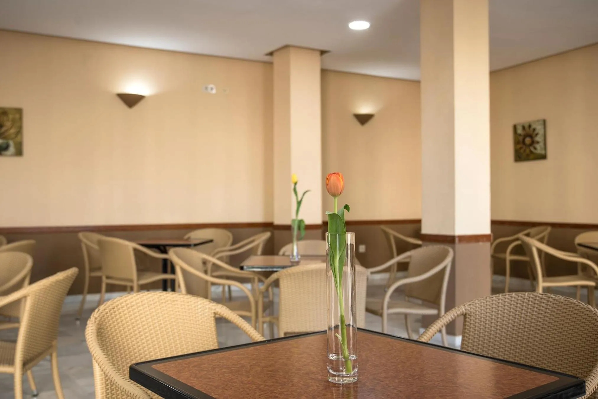 Restaurant/Places to Eat in Ele Andarax