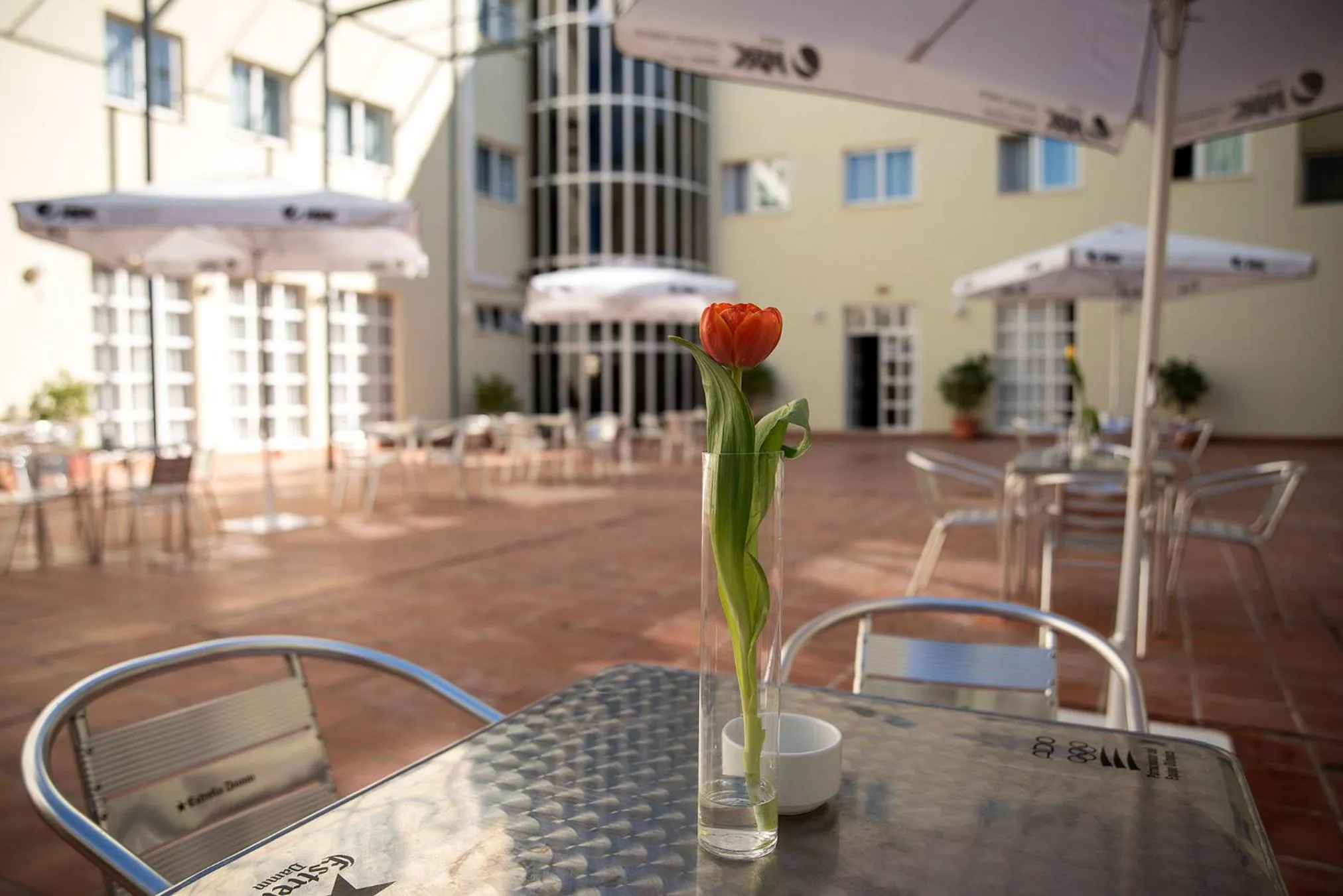 Patio, Restaurant/Places to Eat in Ele Andarax