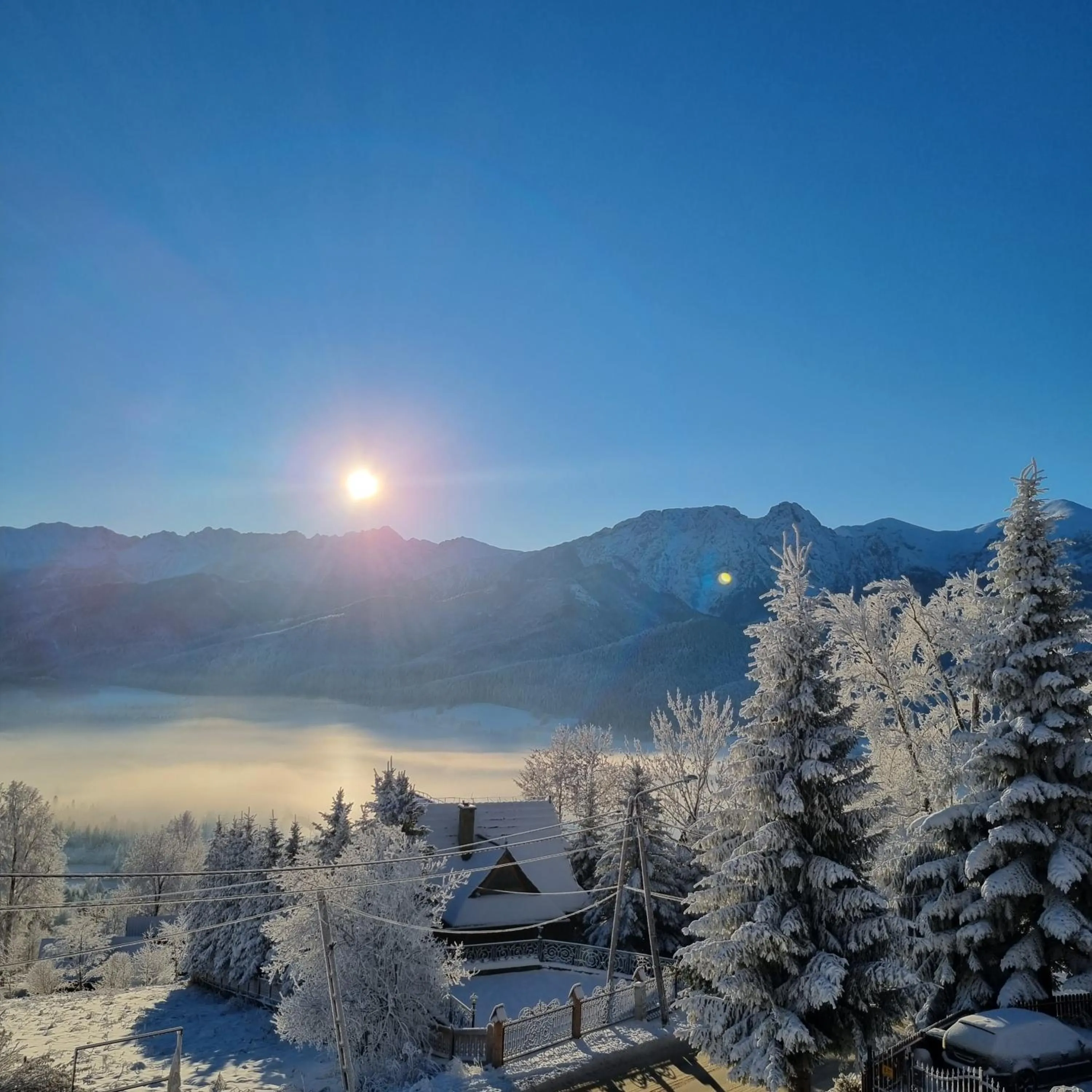 View (from property/room) in Butorowy Dwór