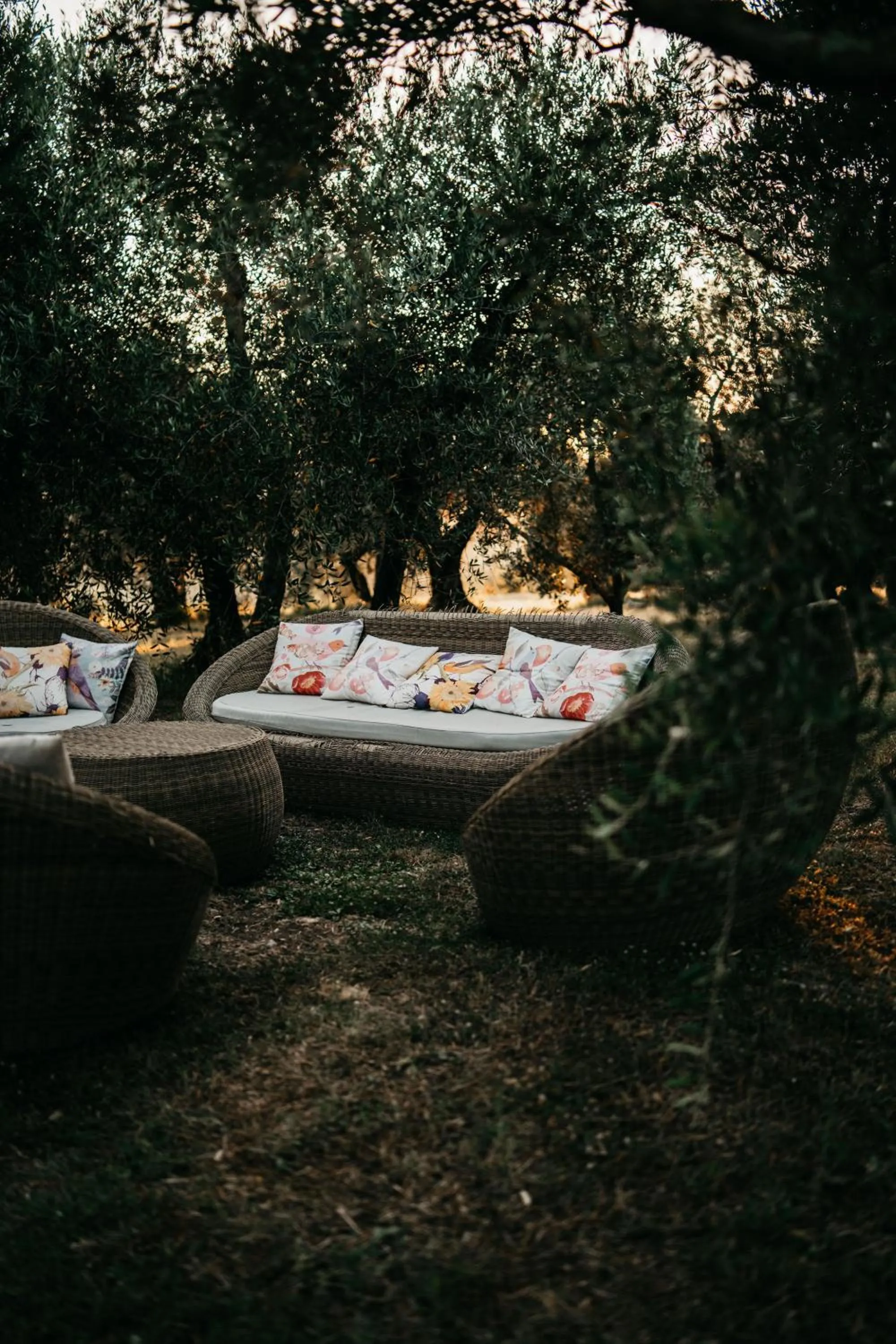 Garden in Florence Winery AgriResort - Fattoria Lavacchio