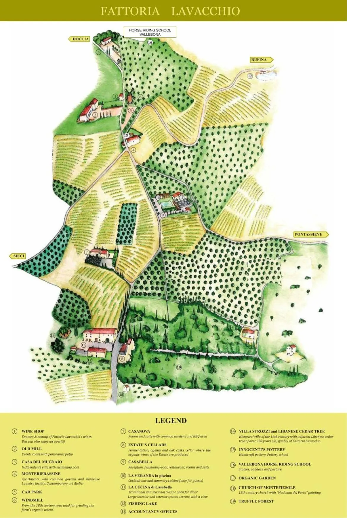 Floor plan in Florence Winery AgriResort - Fattoria Lavacchio