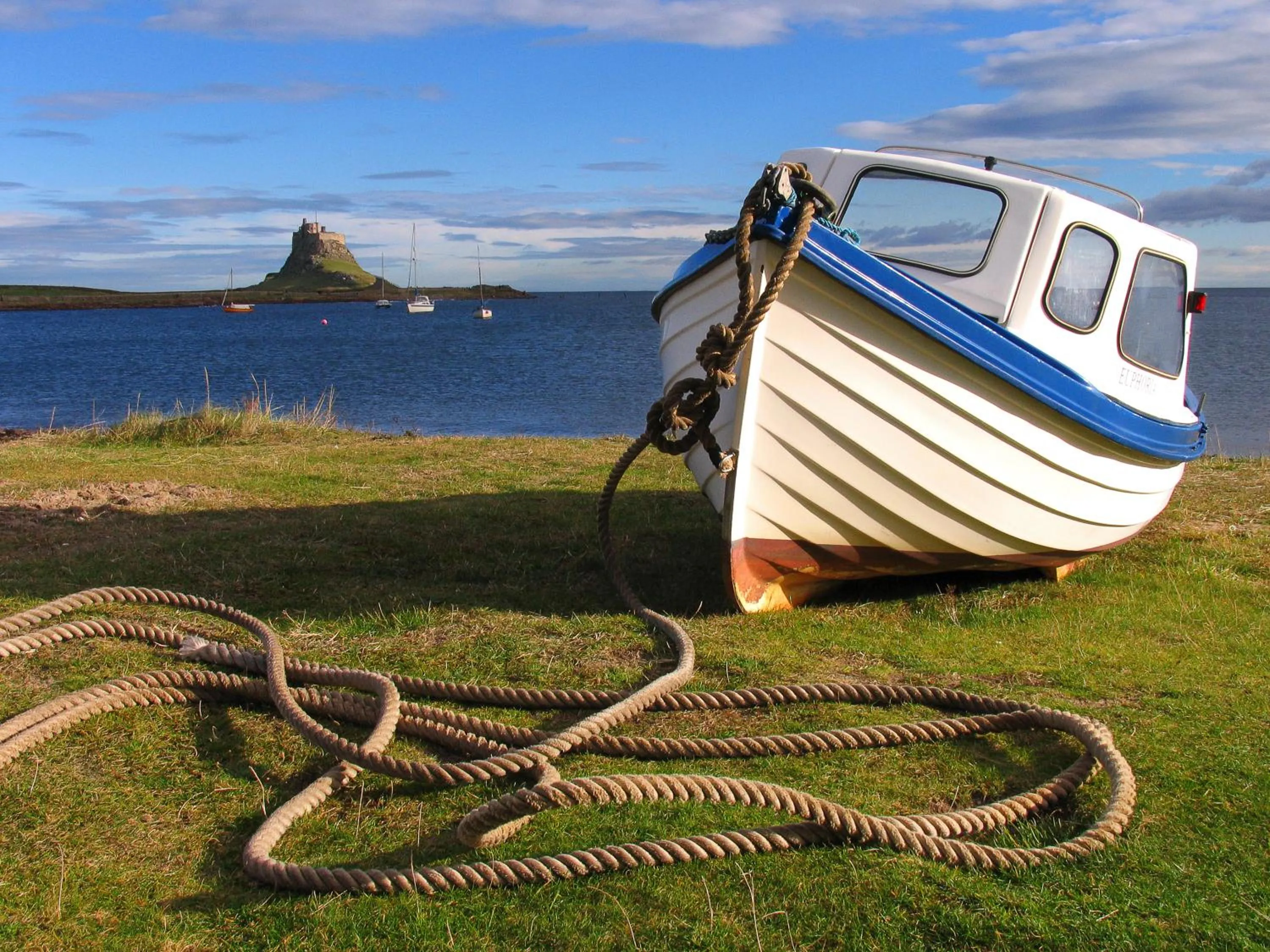 Natural landscape in Springwood