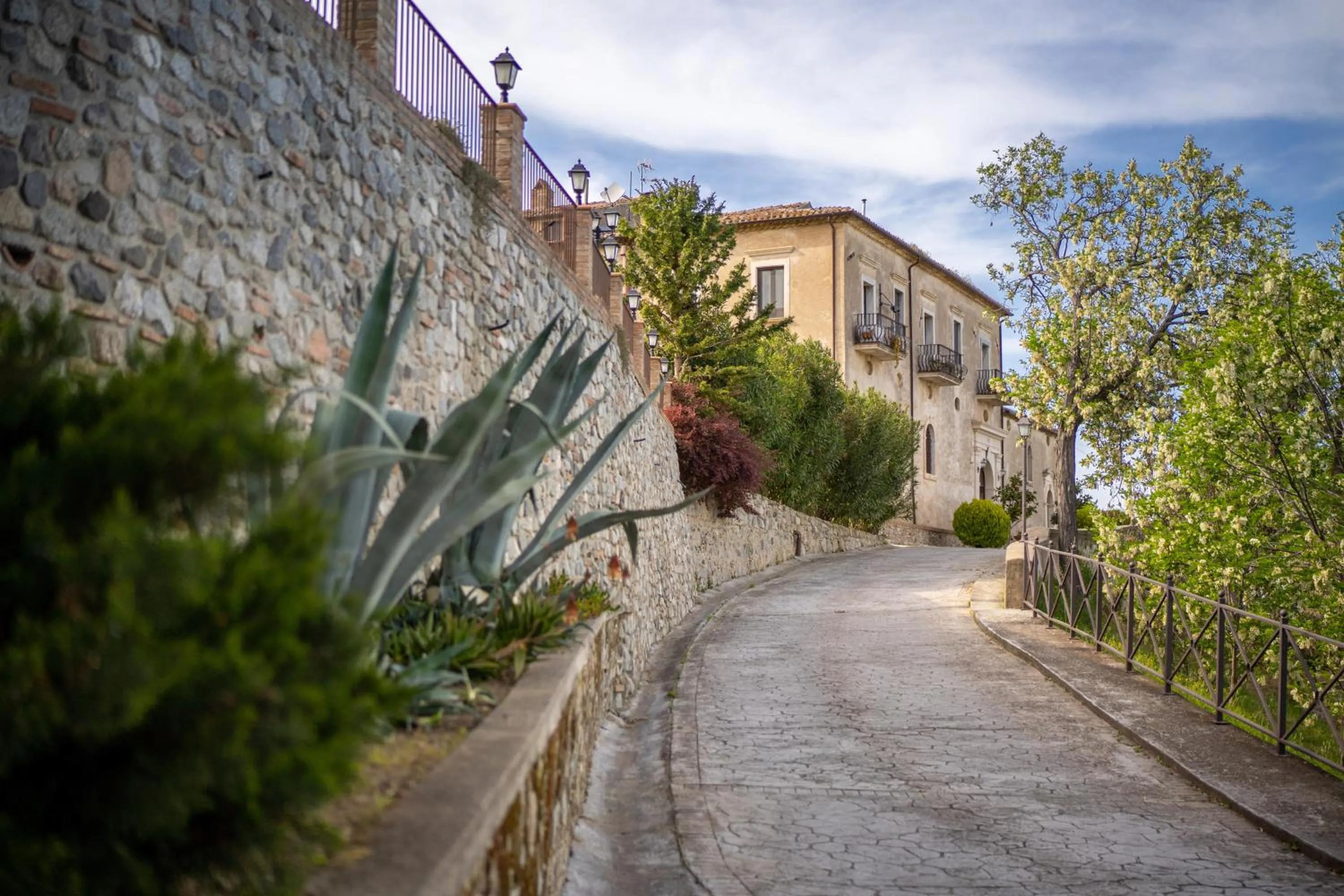 Street view in Tenuta Ciminata Greco