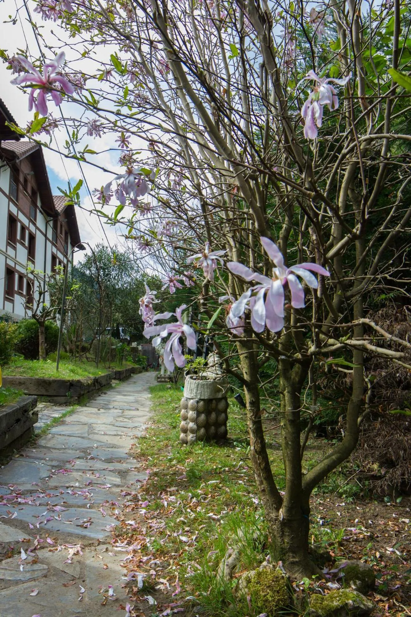 Garden in Adeko Hotel