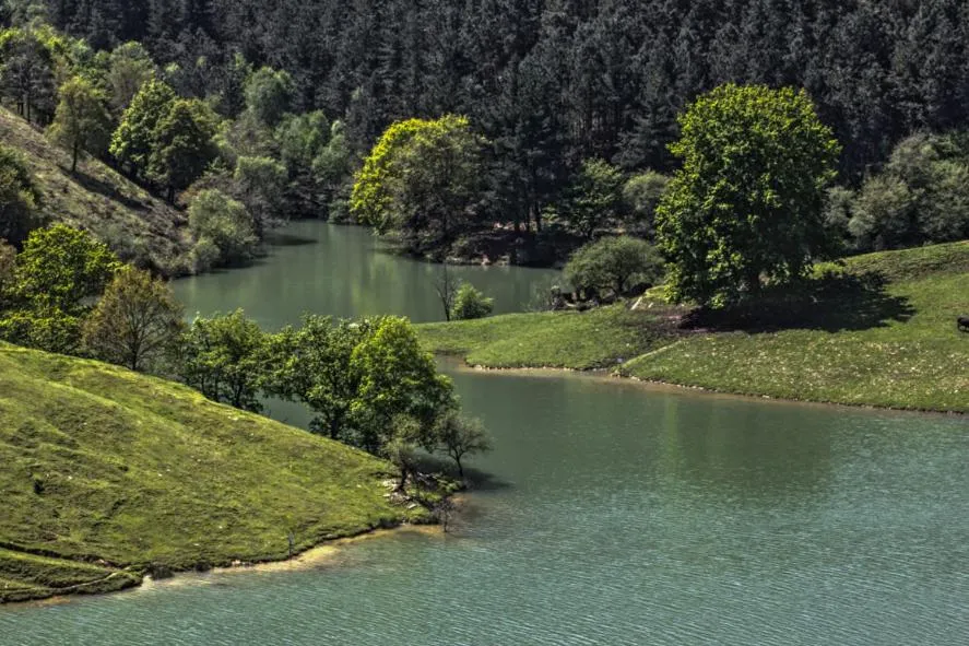 Off site in Adeko Hotel