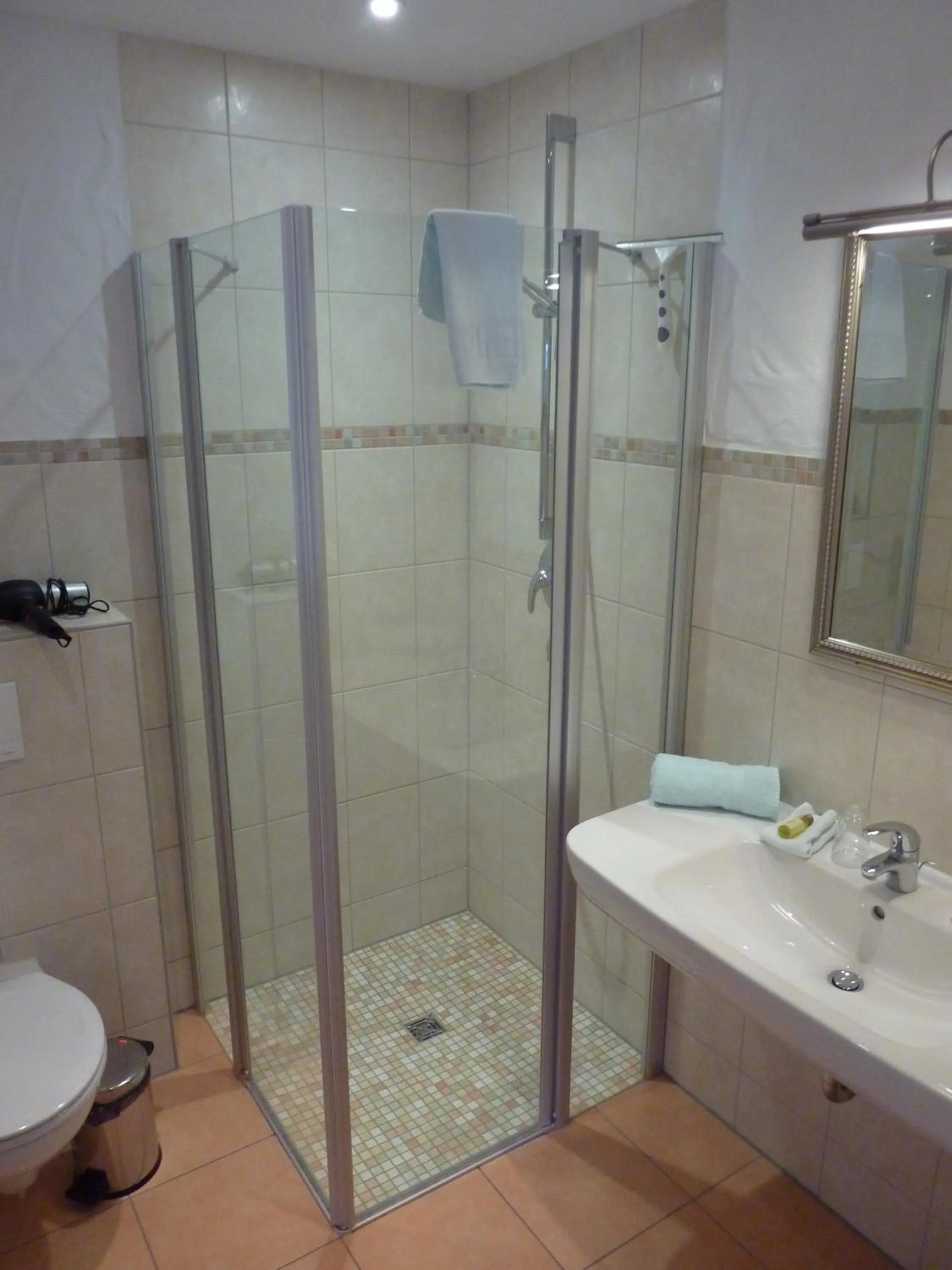 Bathroom in Zum Schlangenkönig