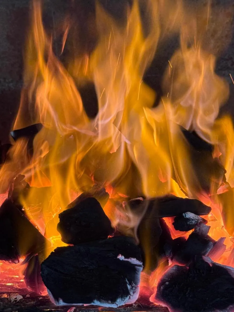 Hosteria Los Canelos