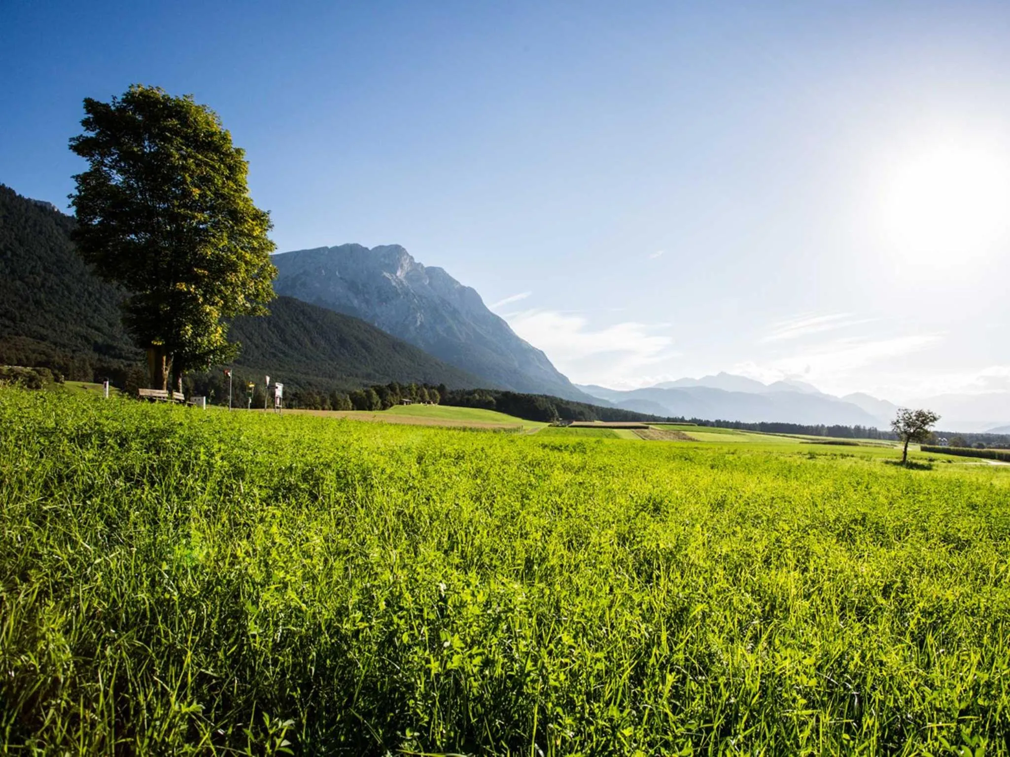 Natural landscape in Landhotel Jäger TOP