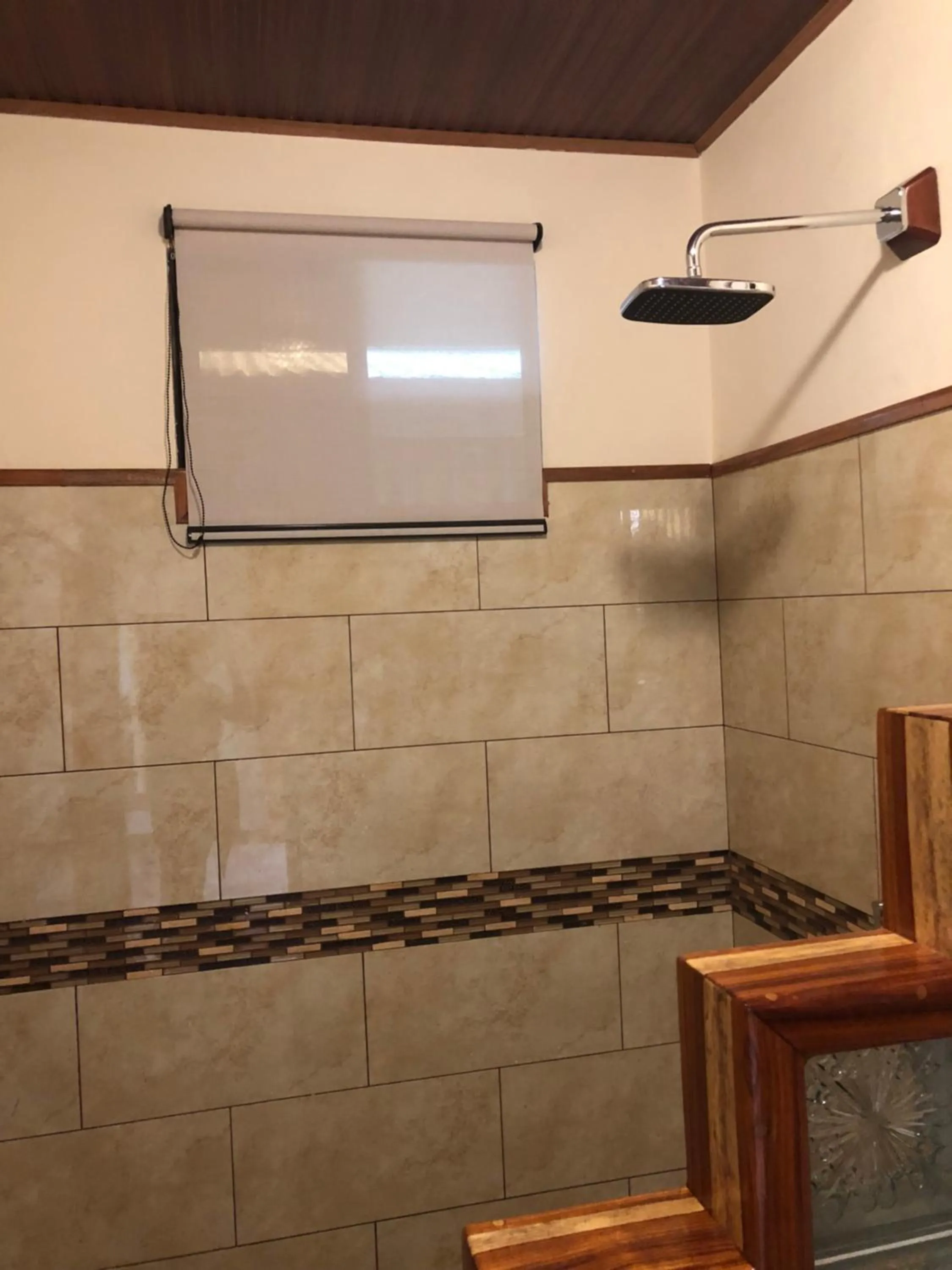 Jacamar Corcovado Drake Bay