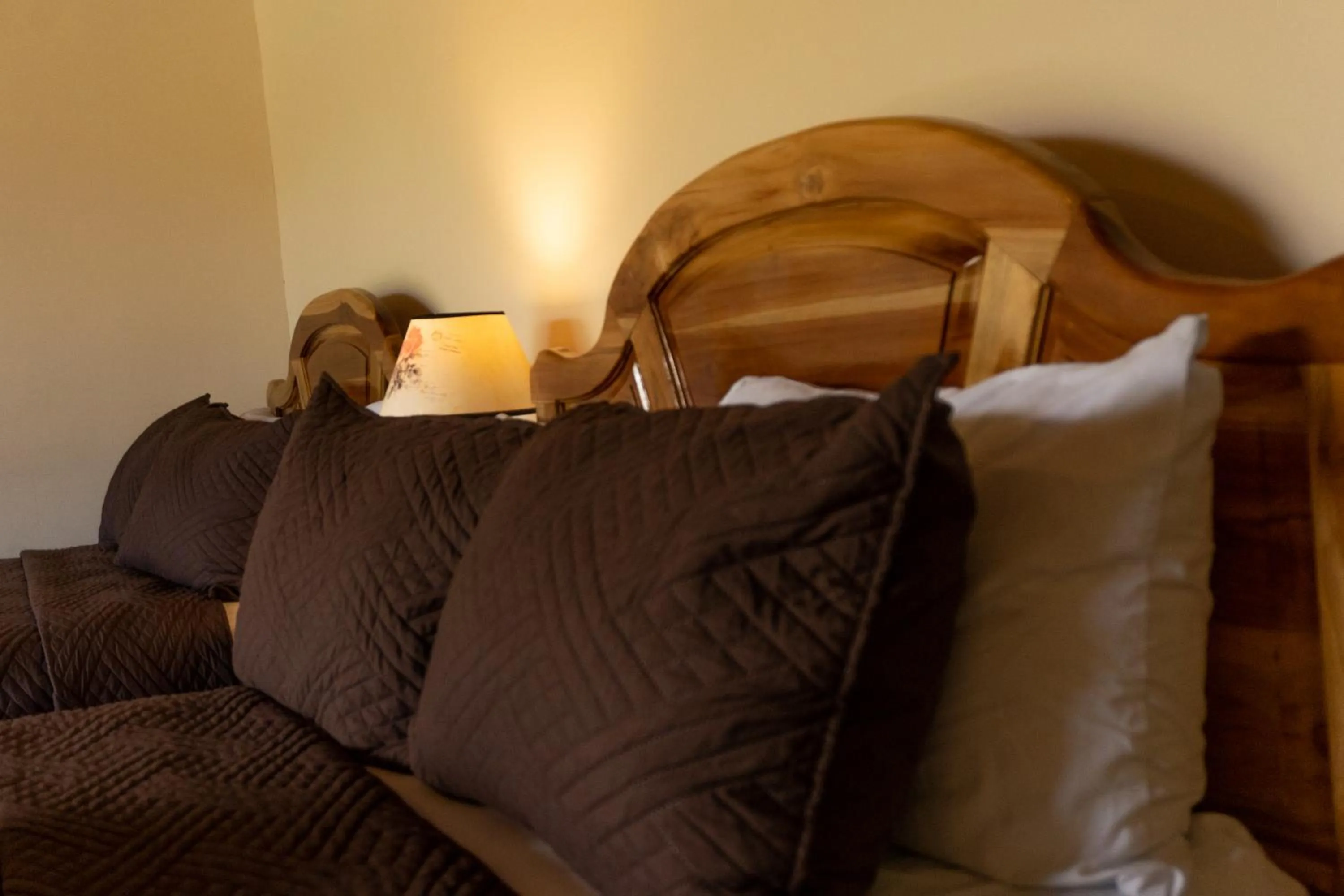 Jacamar Corcovado Drake Bay