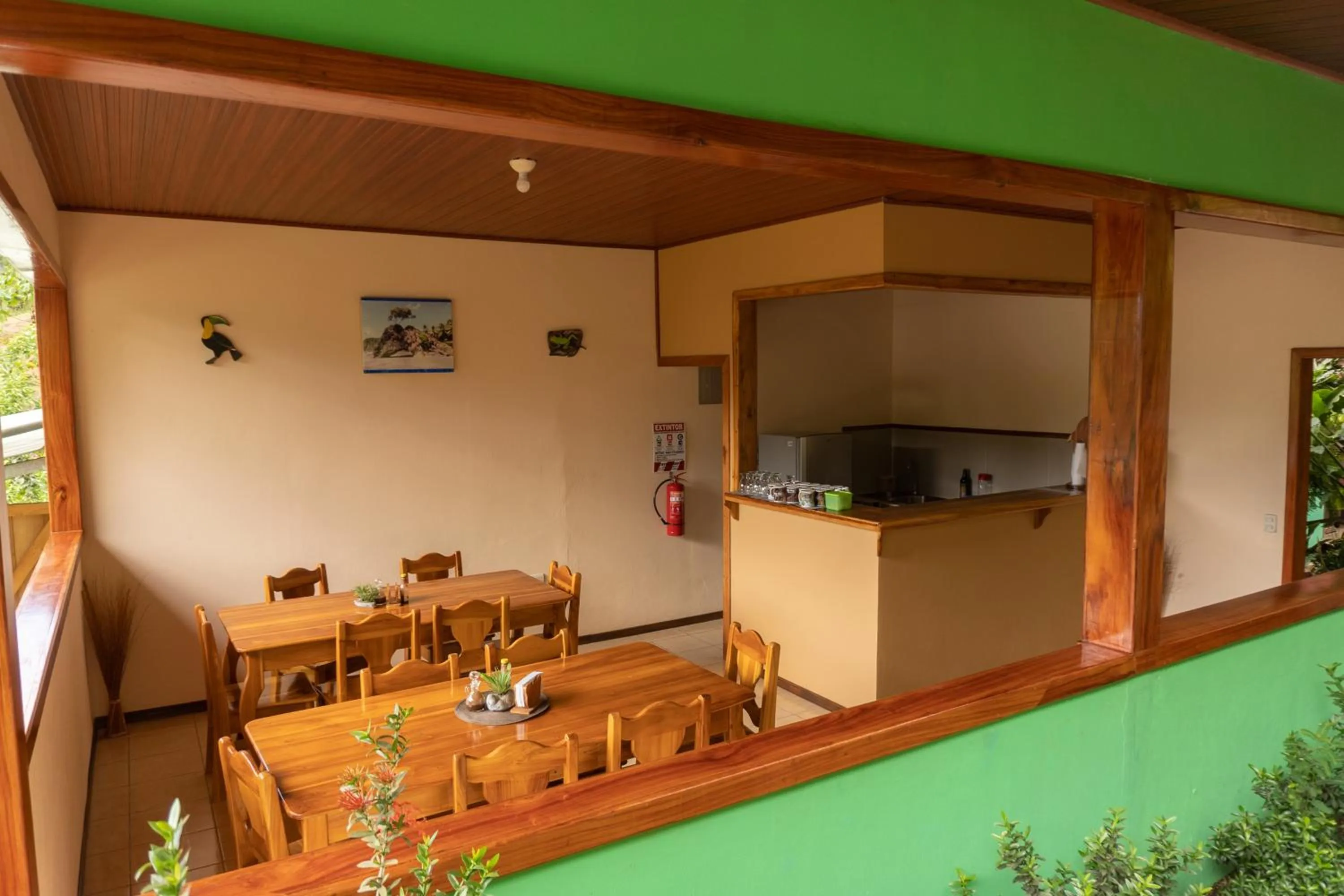 Jacamar Corcovado Drake Bay