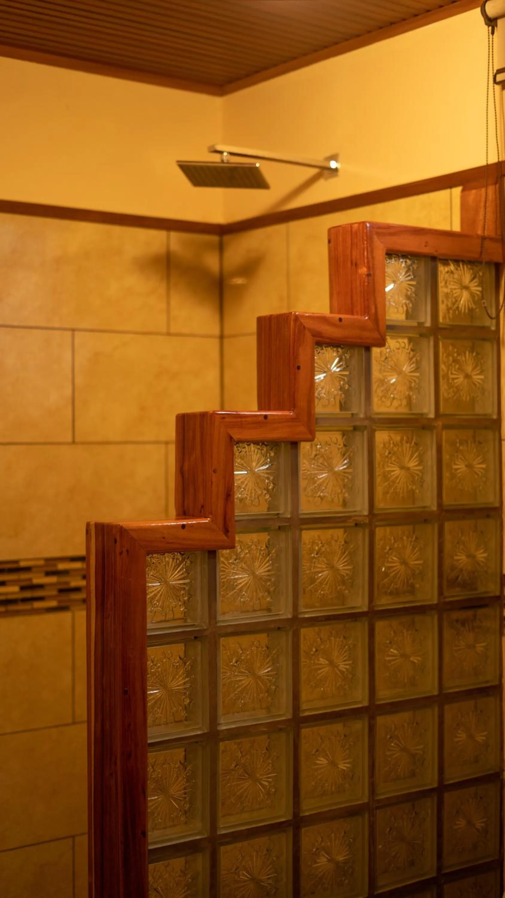 Jacamar Corcovado Drake Bay