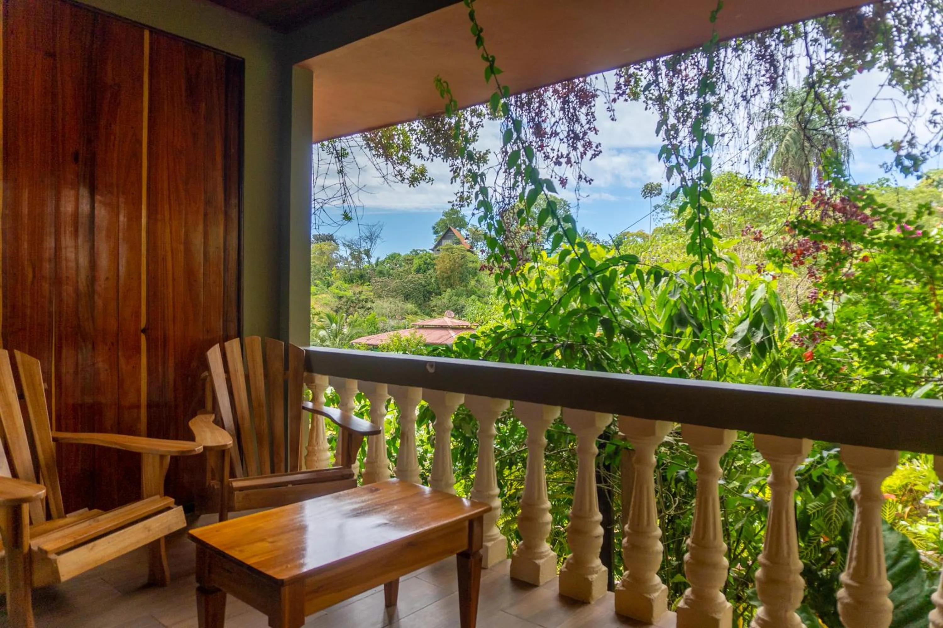 Garden view in Jacamar Corcovado Drake Bay