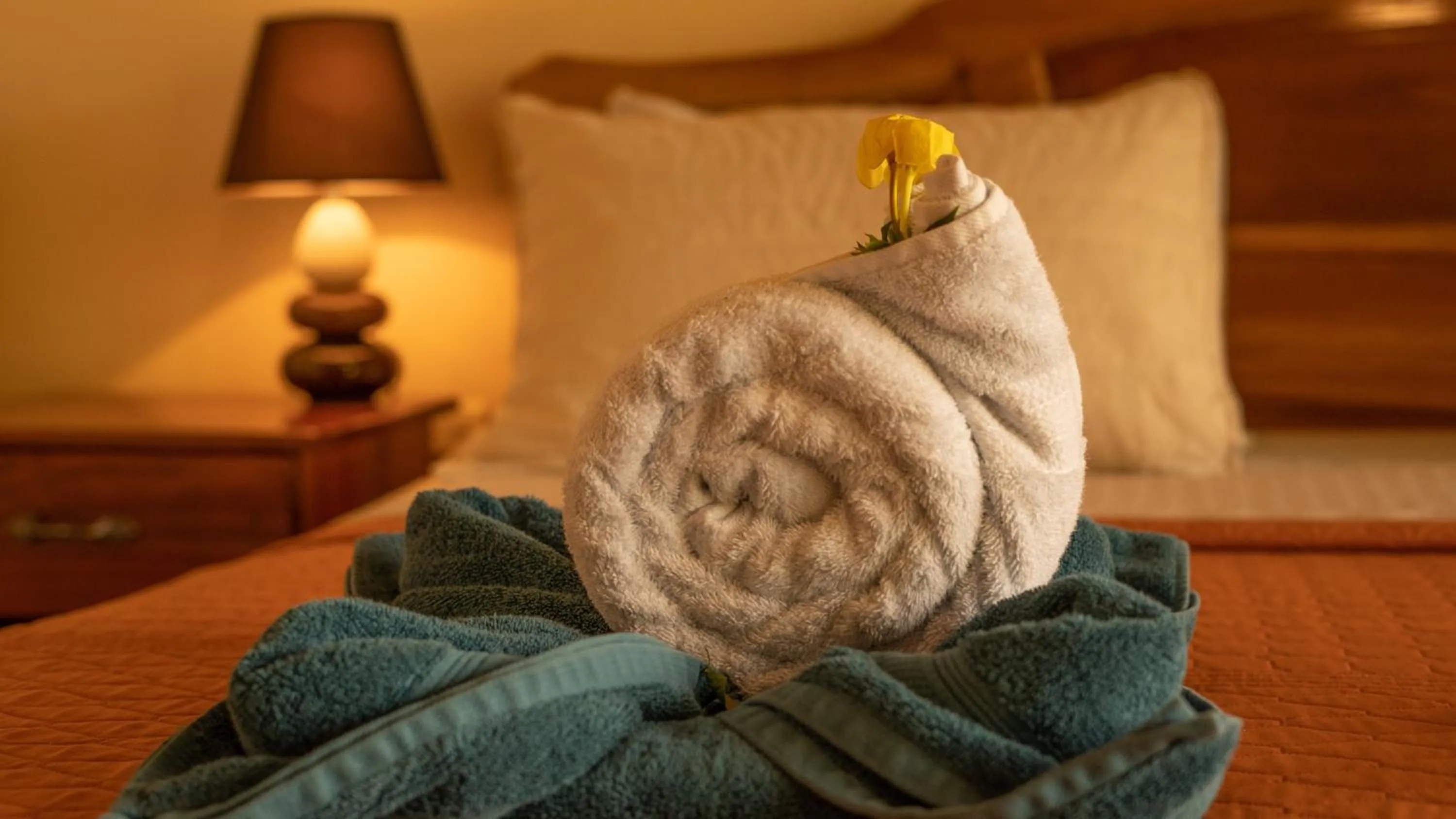 Bed in Jacamar Corcovado Drake Bay