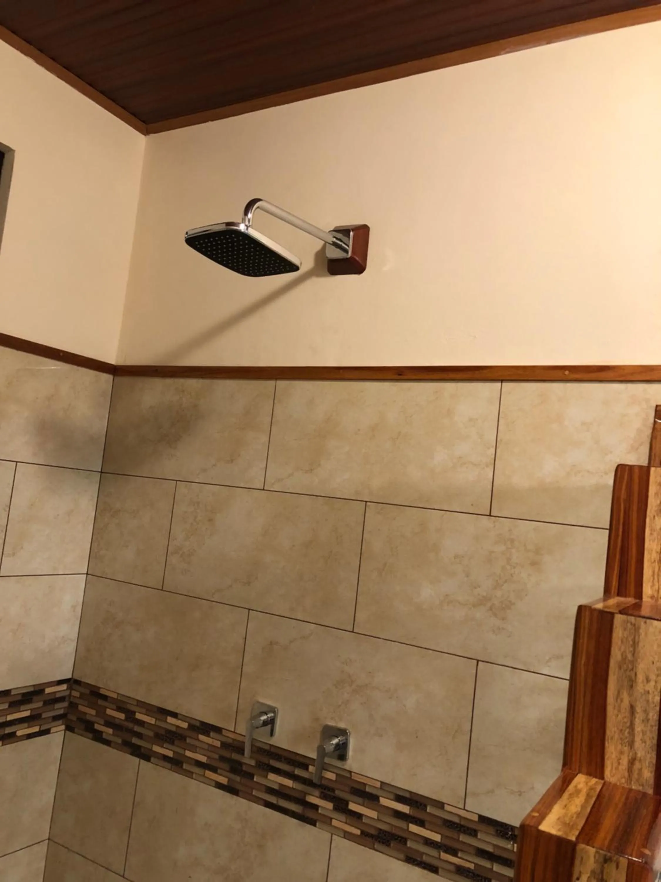 Jacamar Corcovado Drake Bay