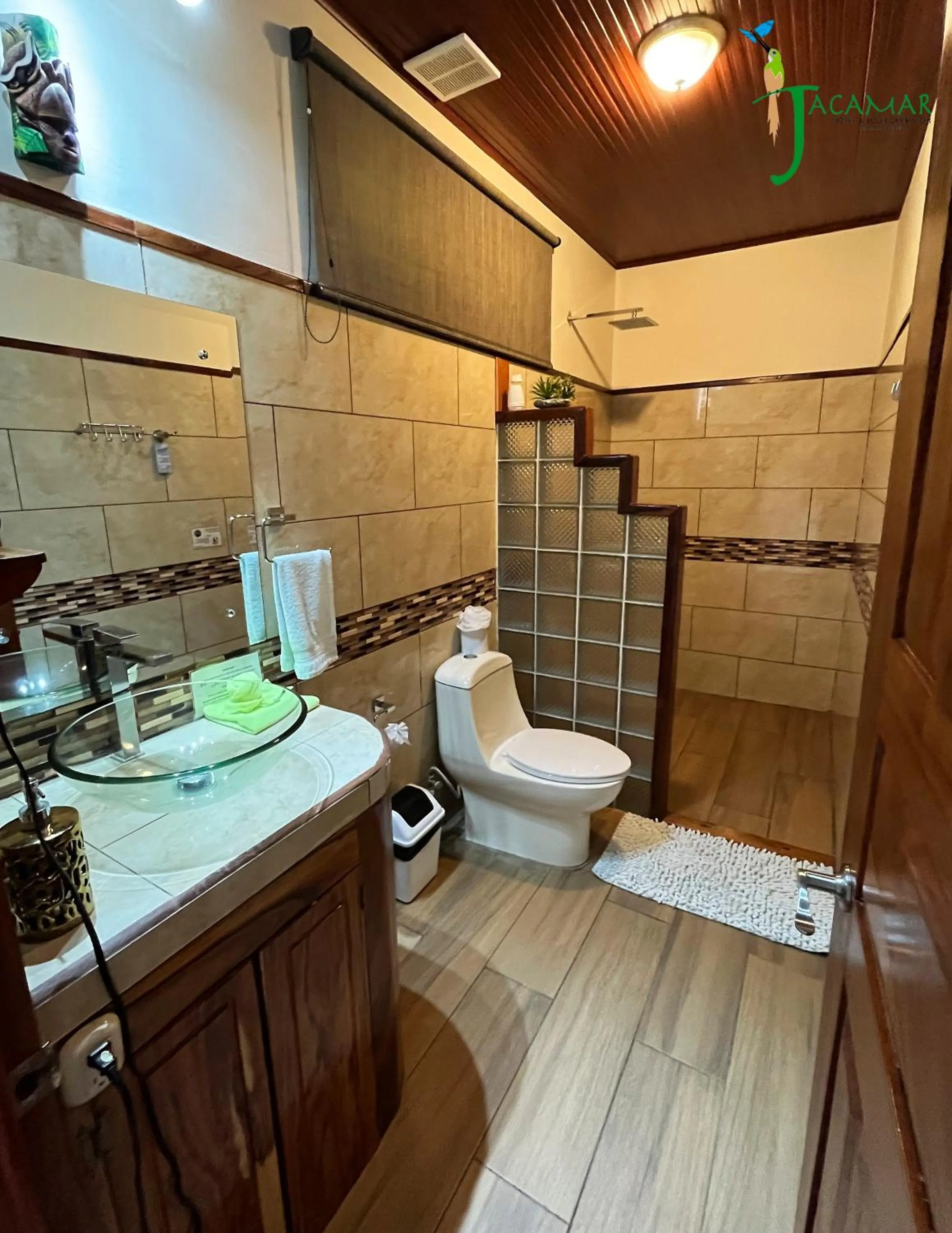 Jacamar Corcovado Drake Bay