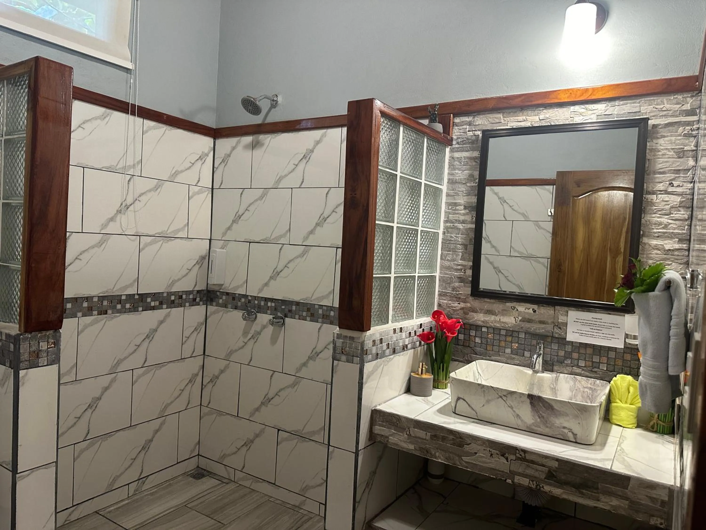 Jacamar Corcovado Drake Bay