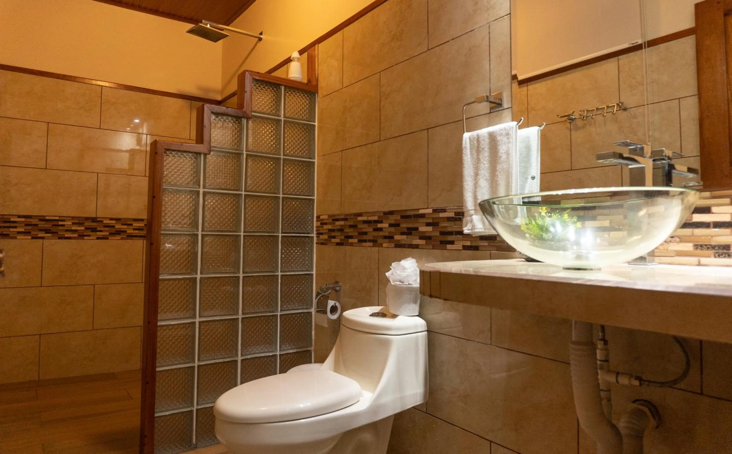 Jacamar Corcovado Drake Bay