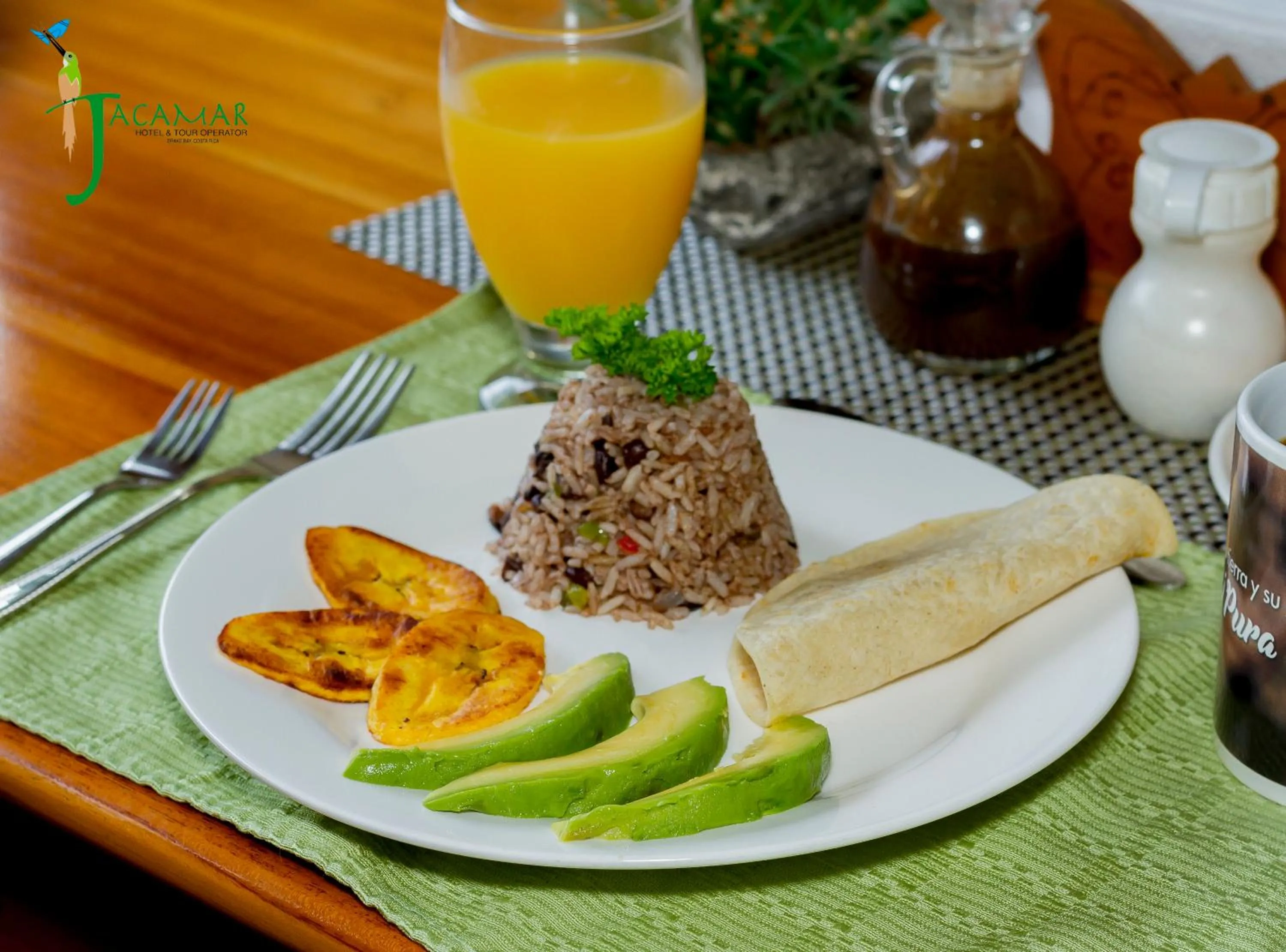 Jacamar Corcovado Drake Bay