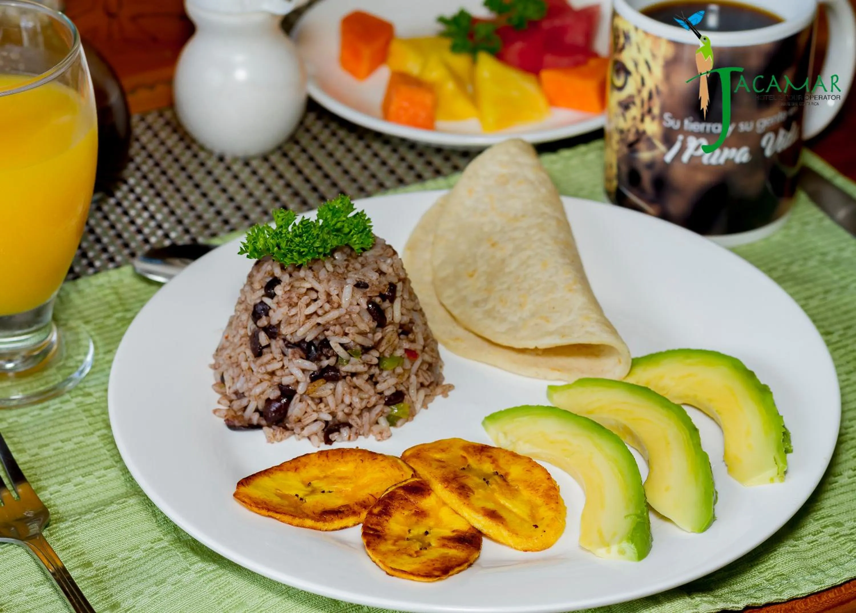 Jacamar Corcovado Drake Bay