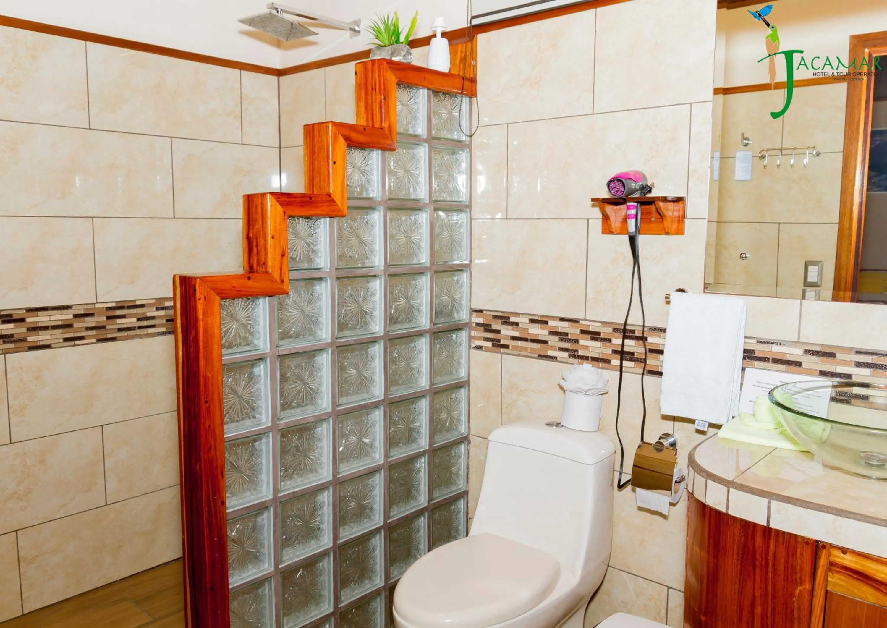 Jacamar Corcovado Drake Bay