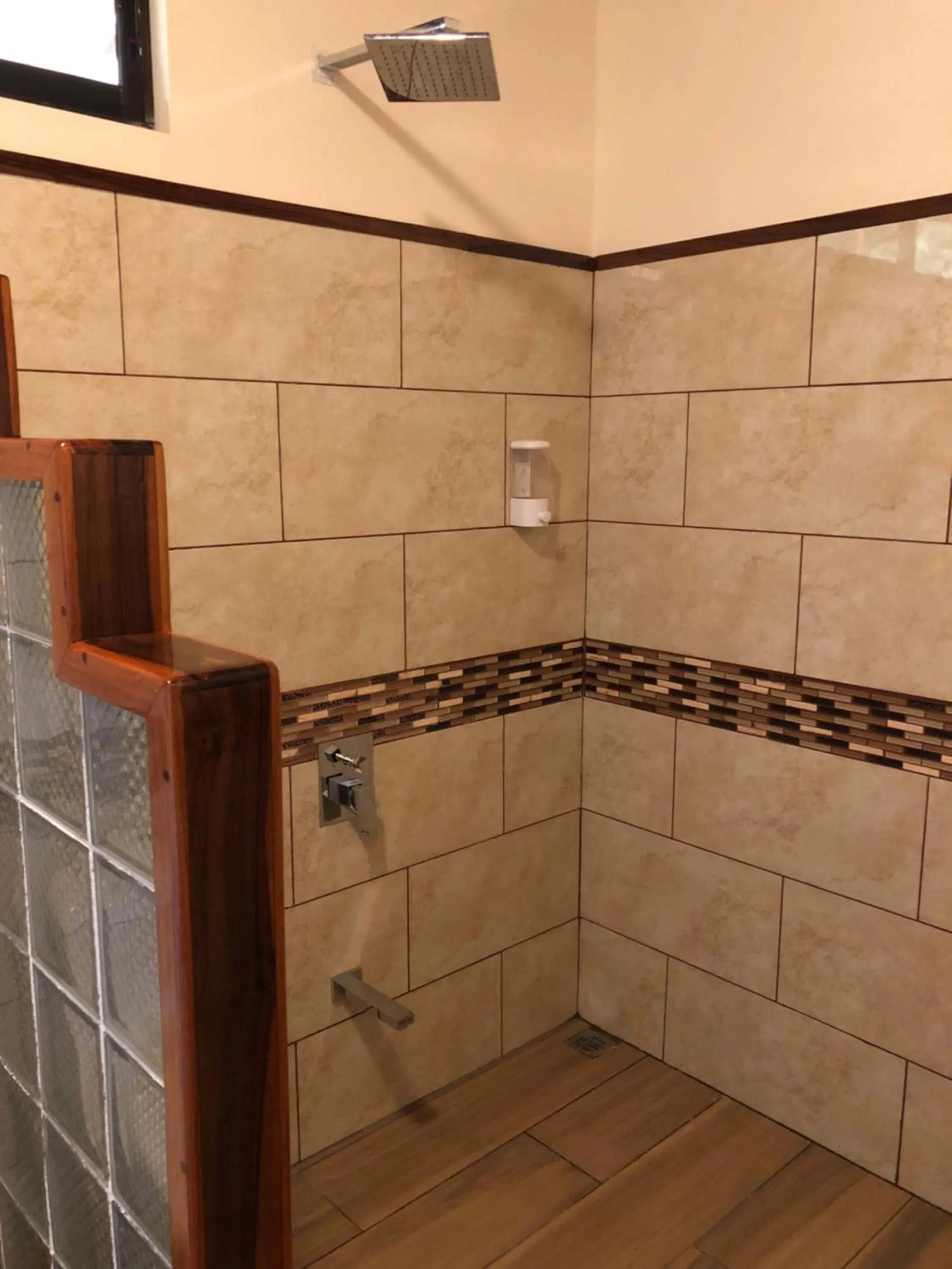 Jacamar Corcovado Drake Bay