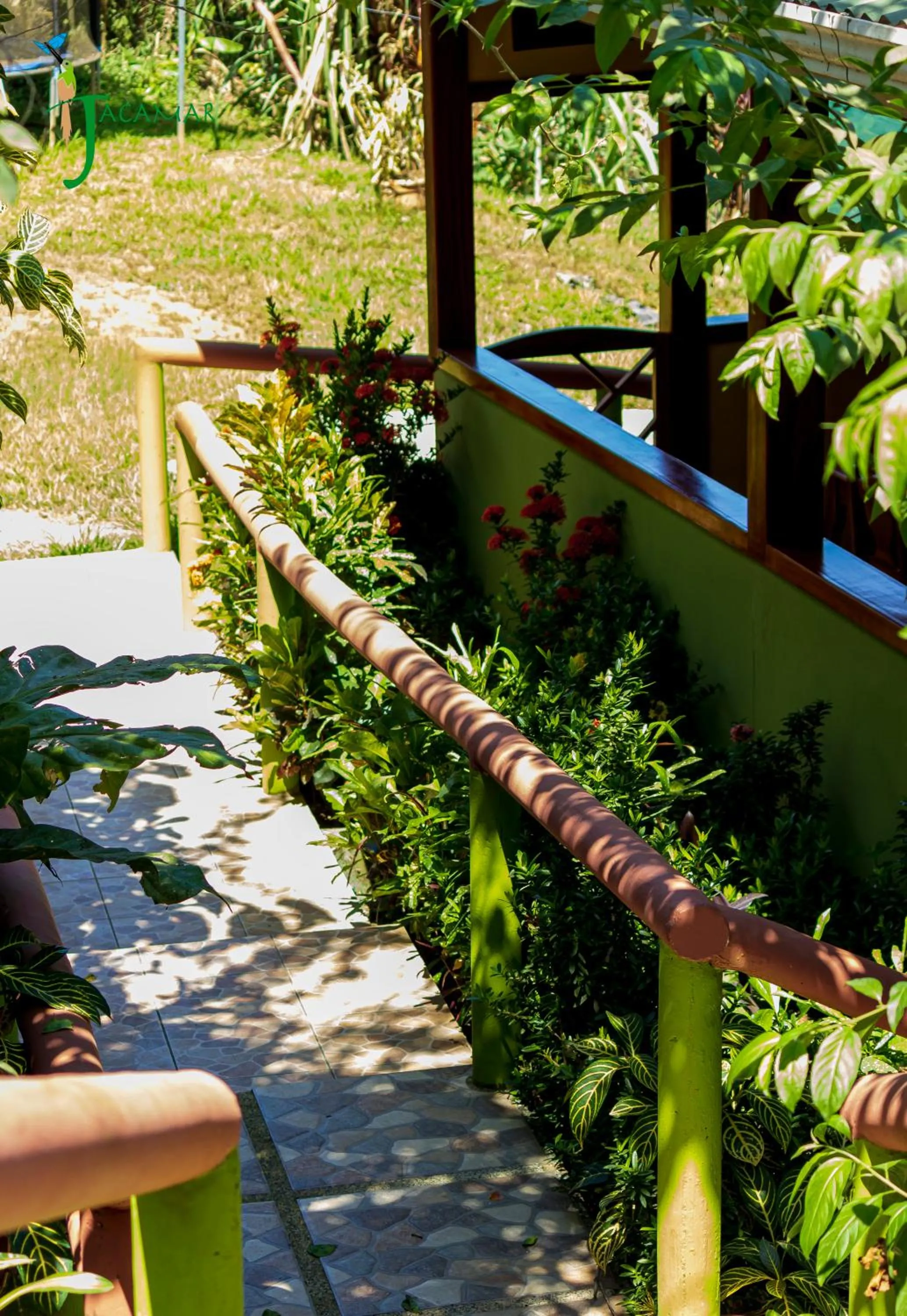 Jacamar Corcovado Drake Bay