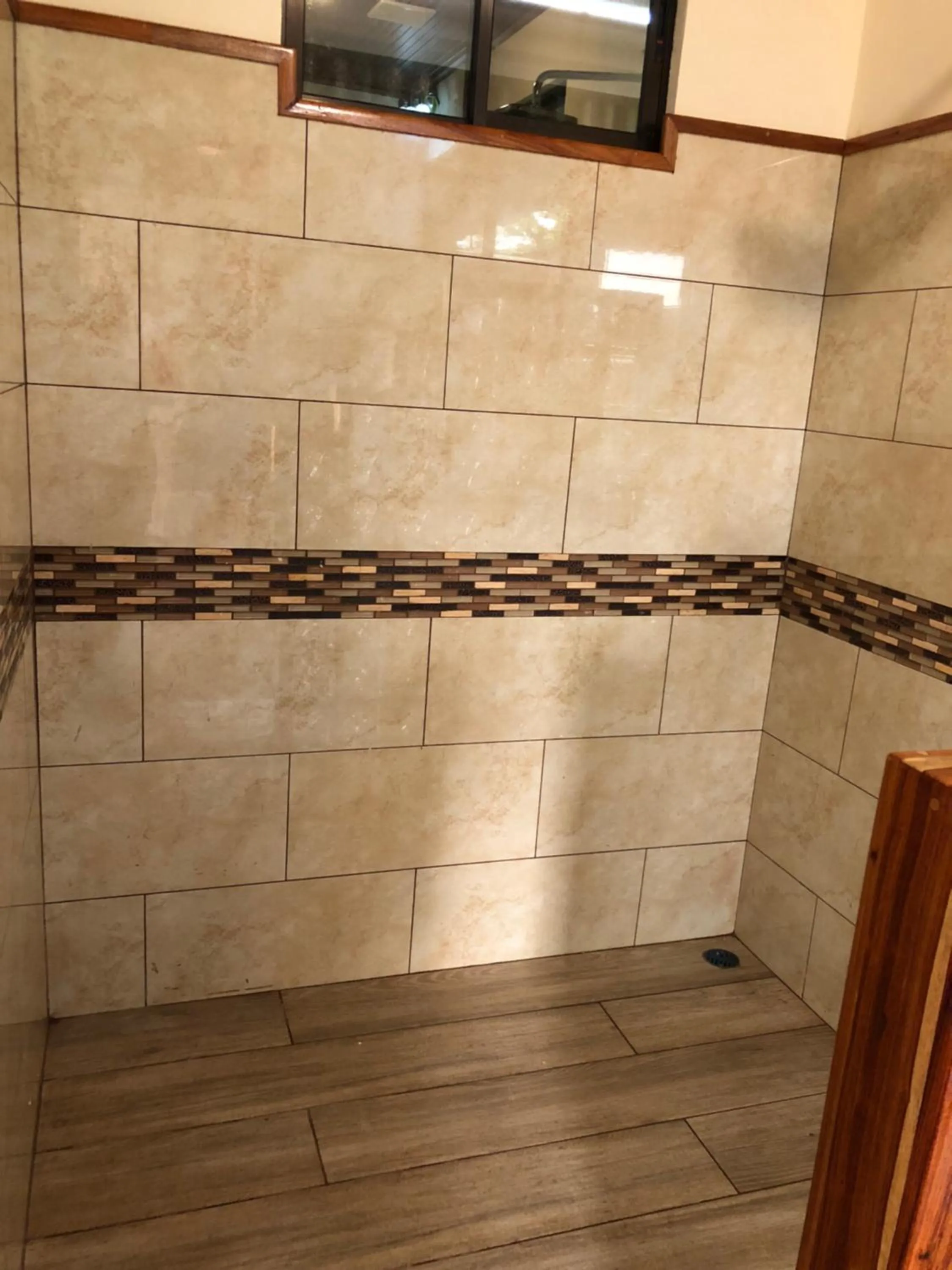 Jacamar Corcovado Drake Bay