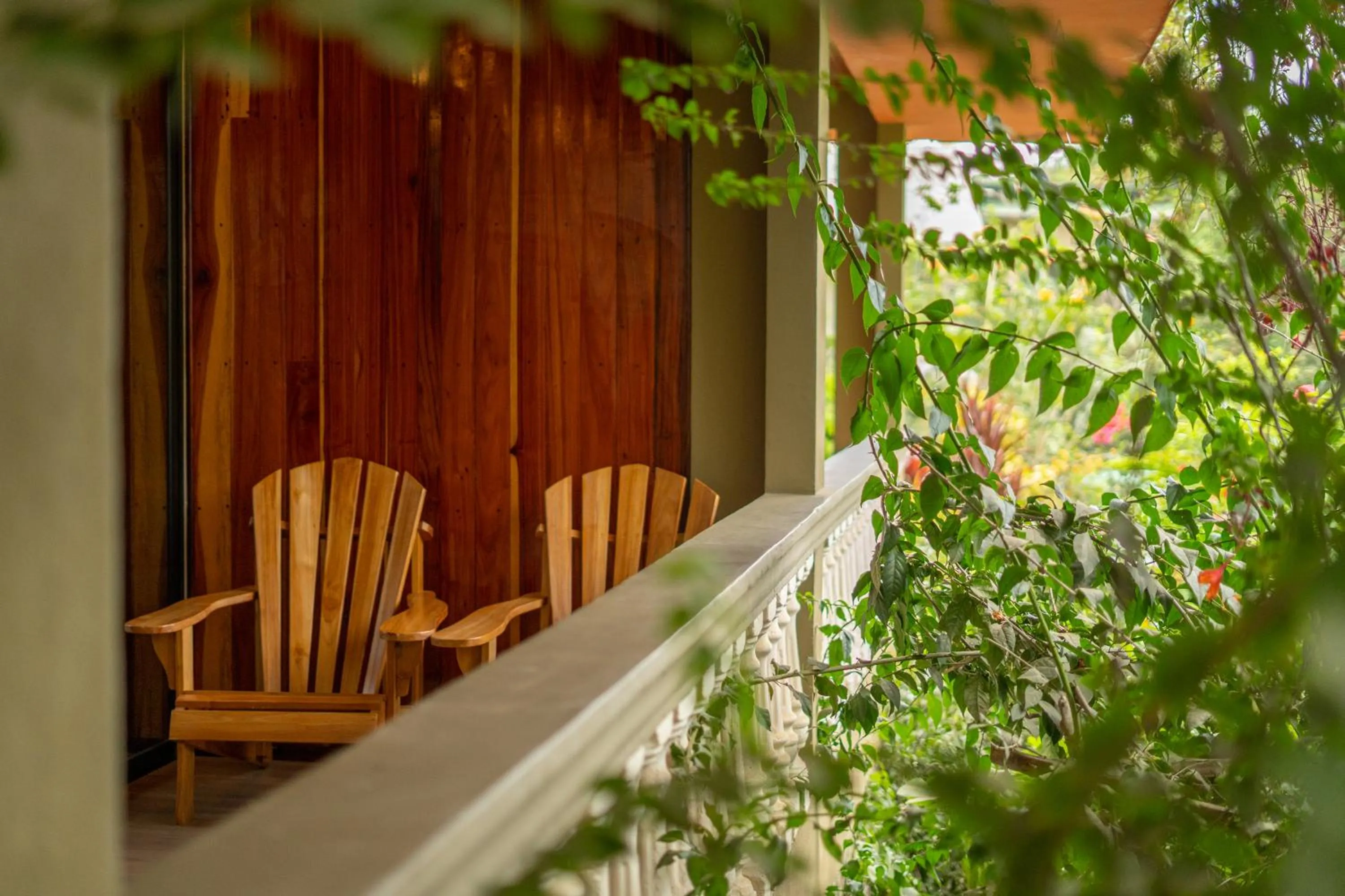 Jacamar Corcovado Drake Bay