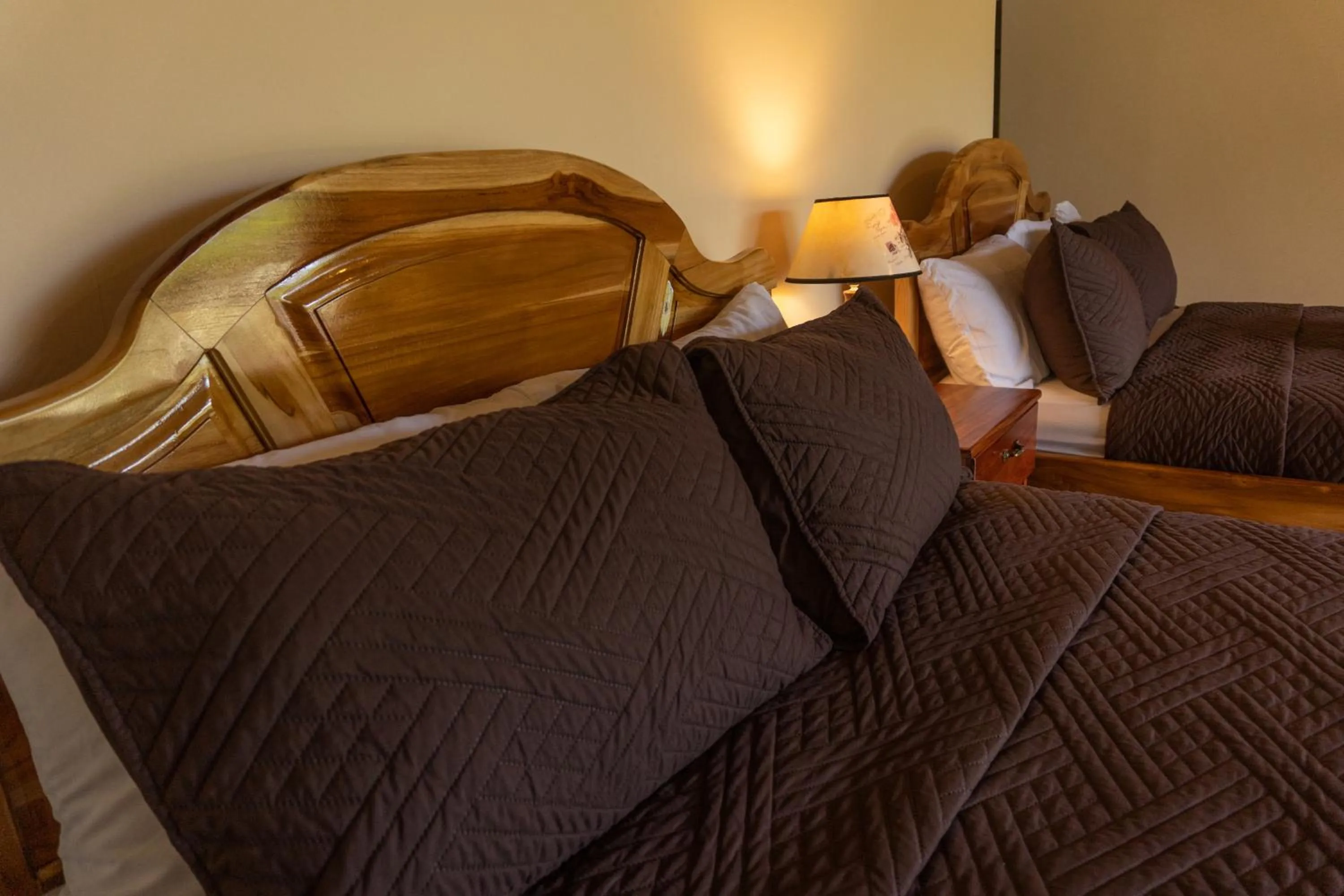 Jacamar Corcovado Drake Bay