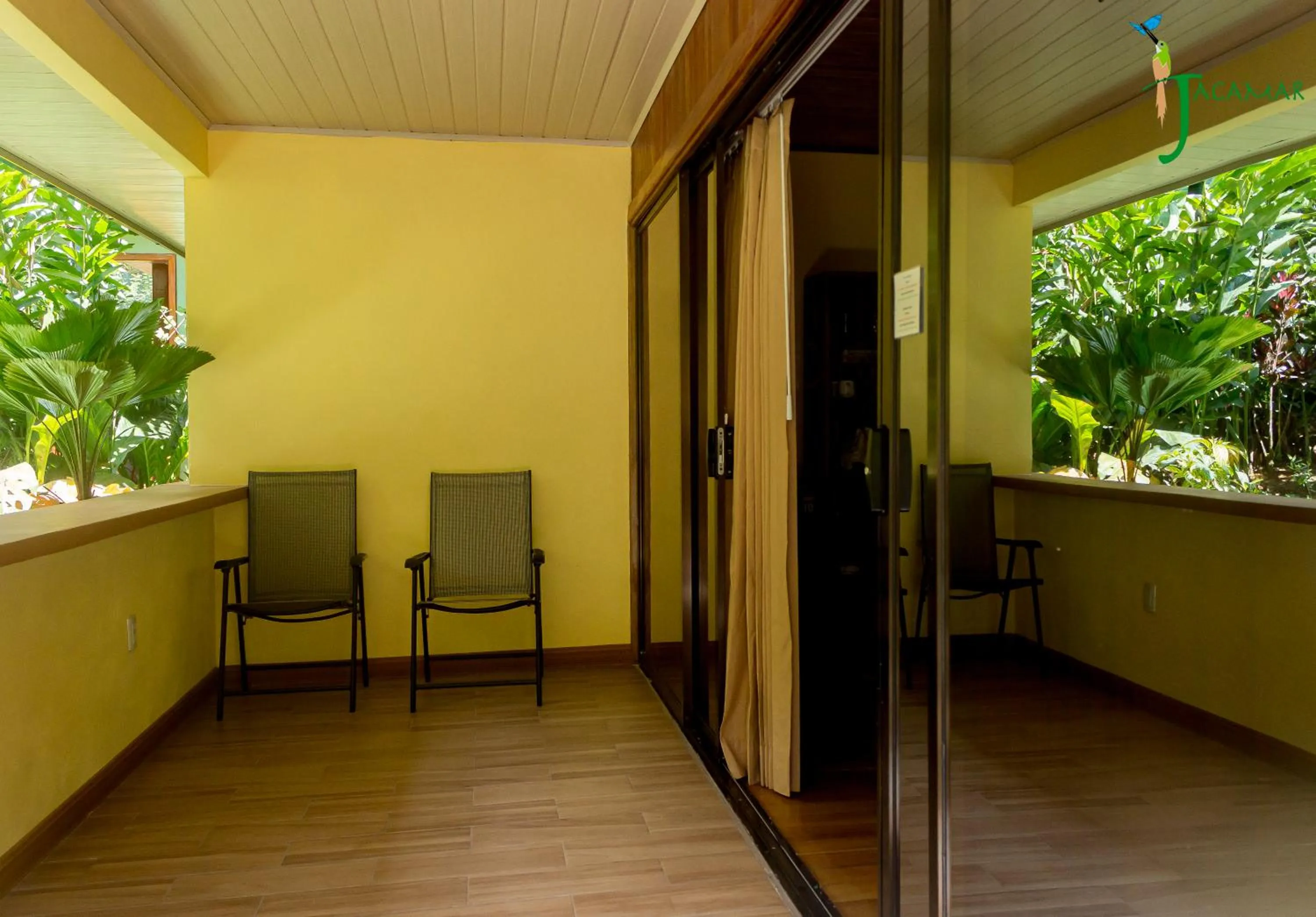 Jacamar Corcovado Drake Bay