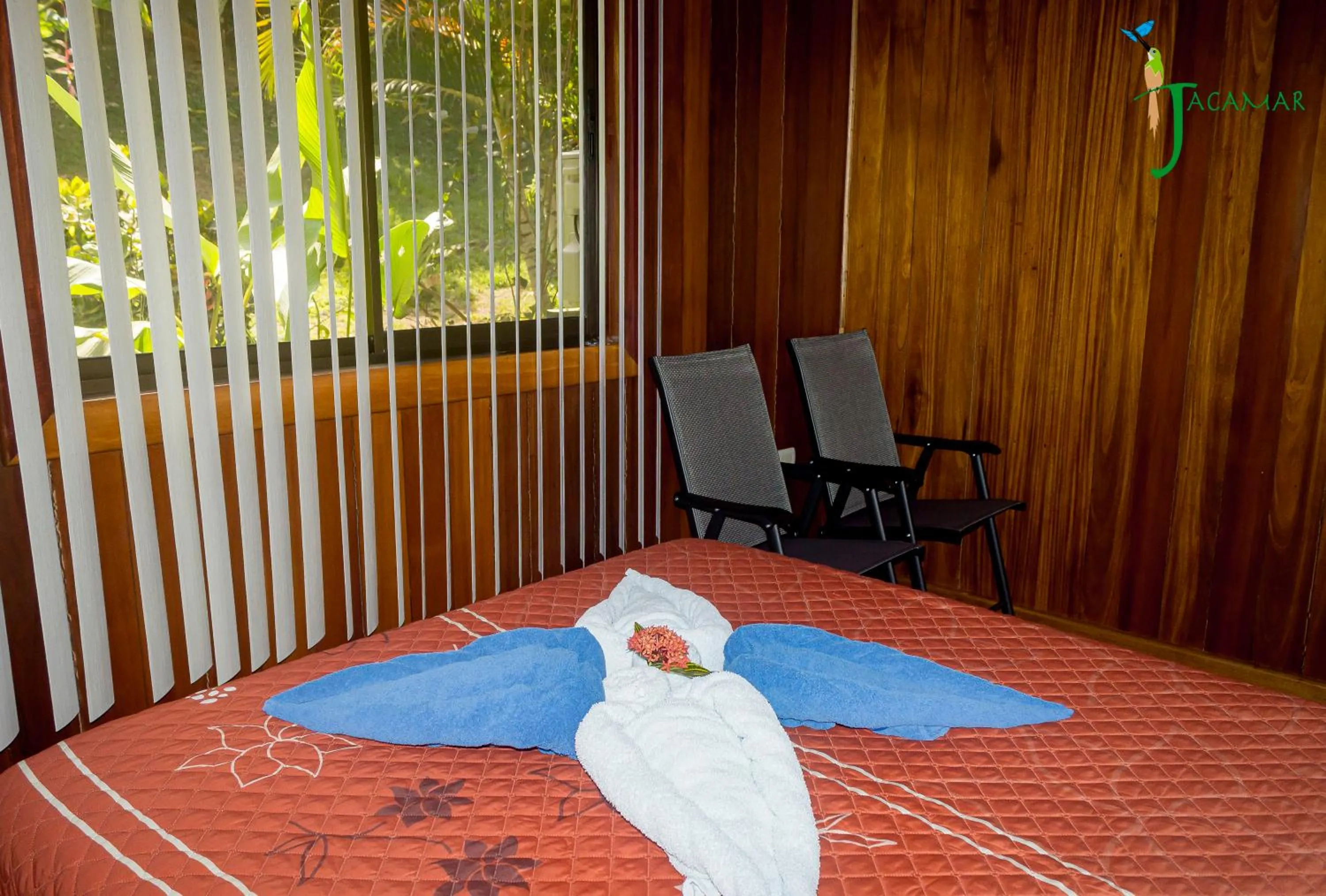 Jacamar Corcovado Drake Bay