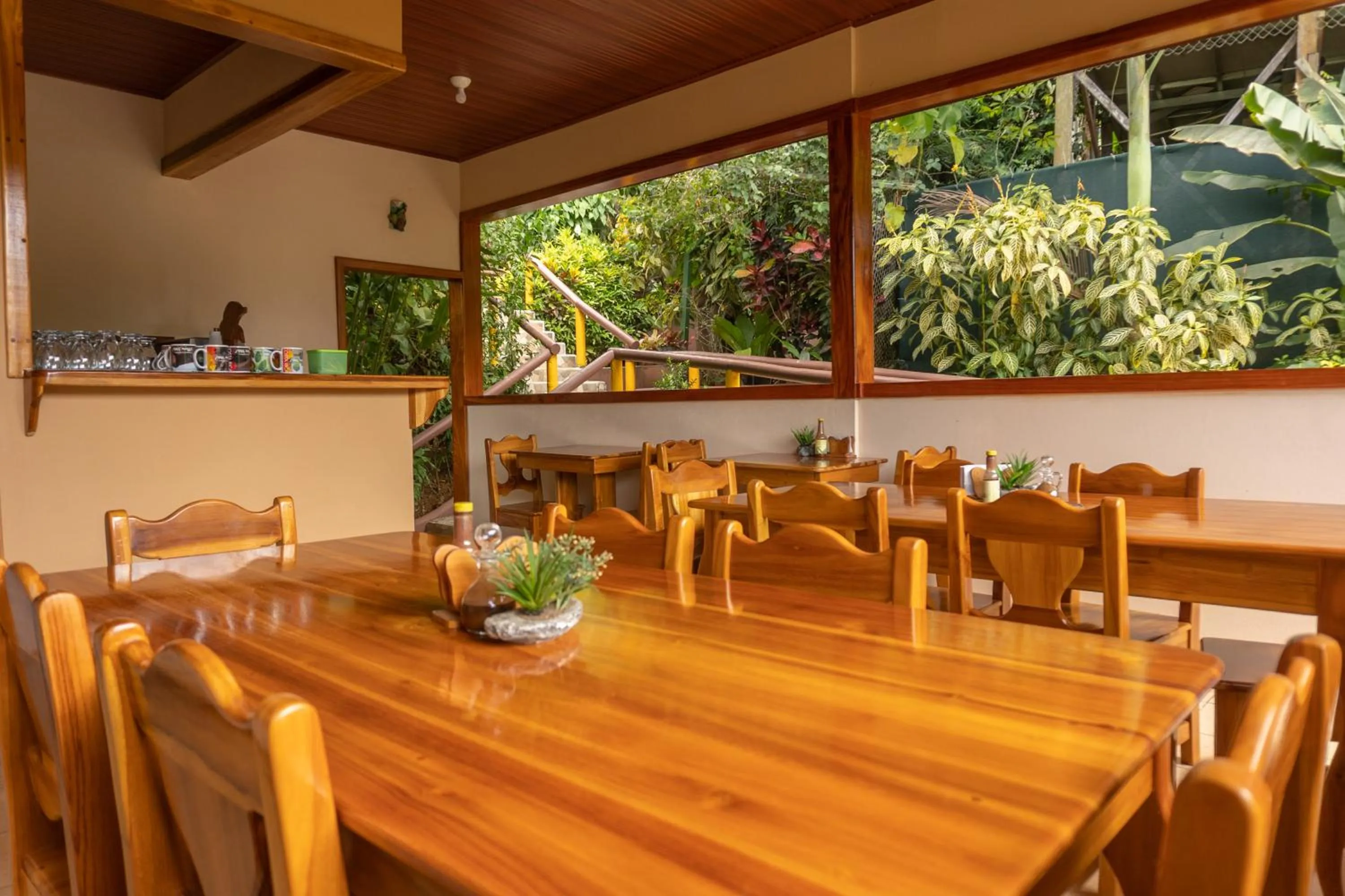 Jacamar Corcovado Drake Bay